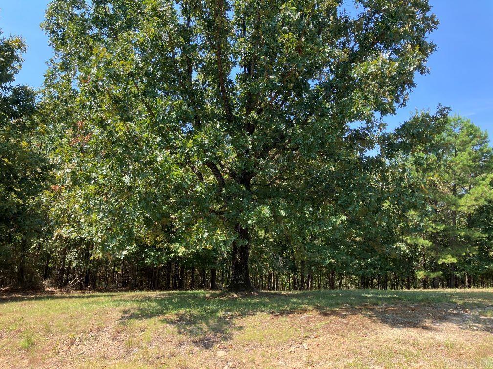 218 Thompson Creek Ln  Mena, AR