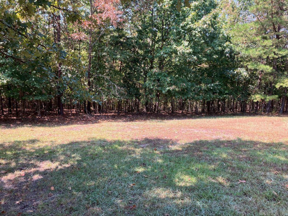 218 Thompson Creek Ln  Mena, AR