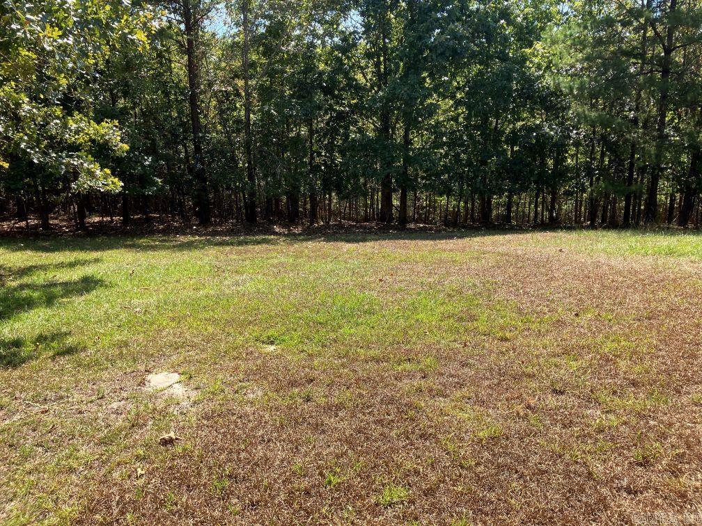 218 Thompson Creek Ln  Mena, AR
