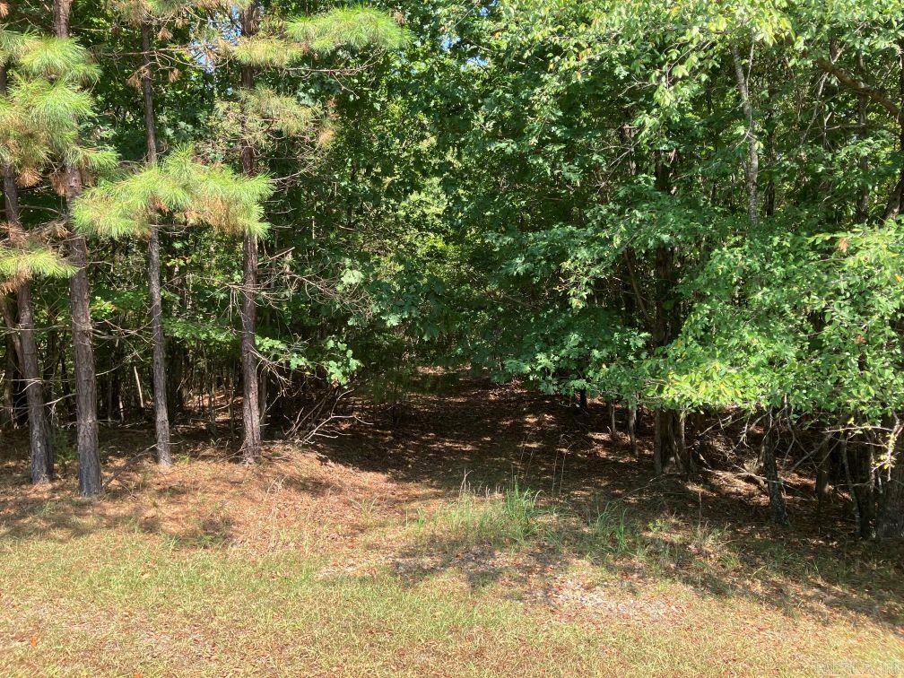 218 Thompson Creek Ln  Mena, AR