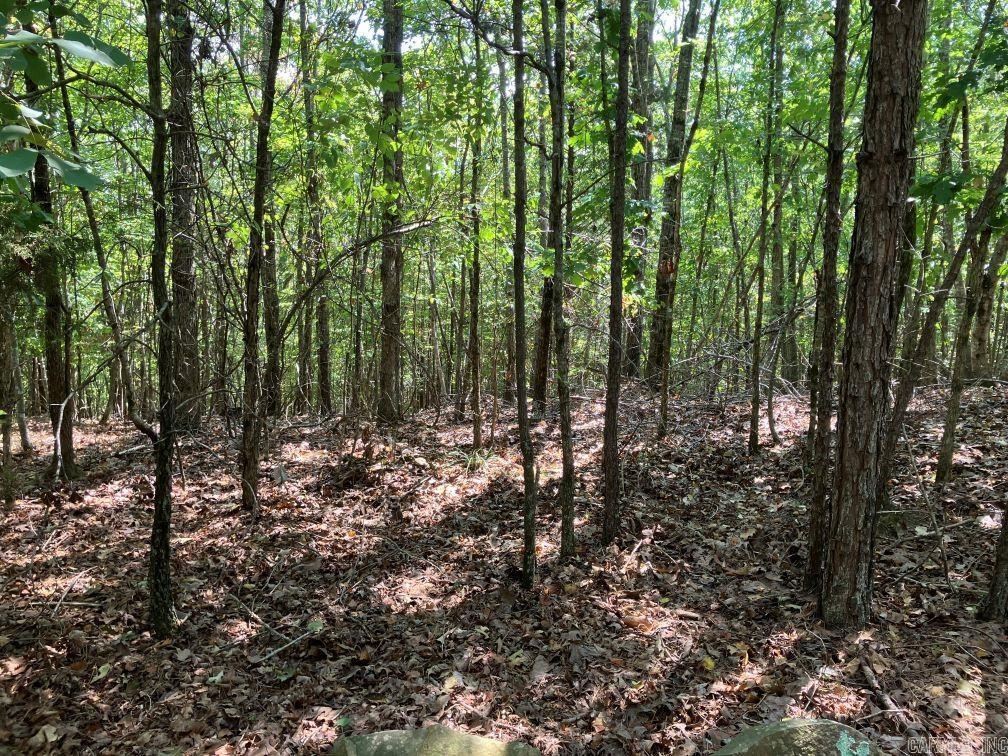 218 Thompson Creek Ln  Mena, AR