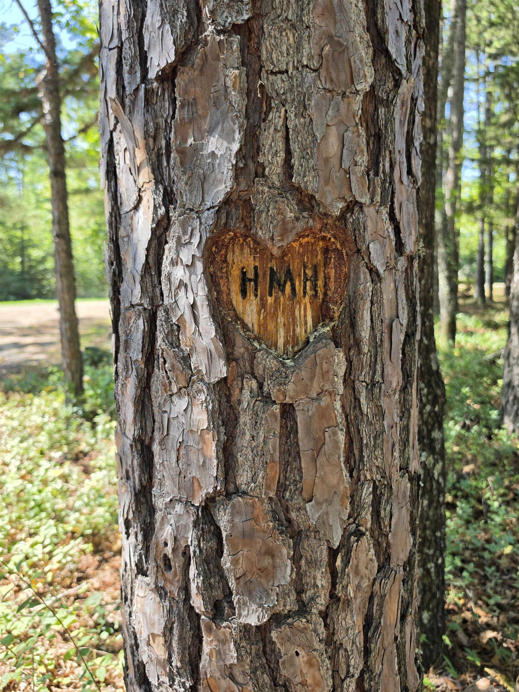 263 Cedar Wood  Clinton, AR