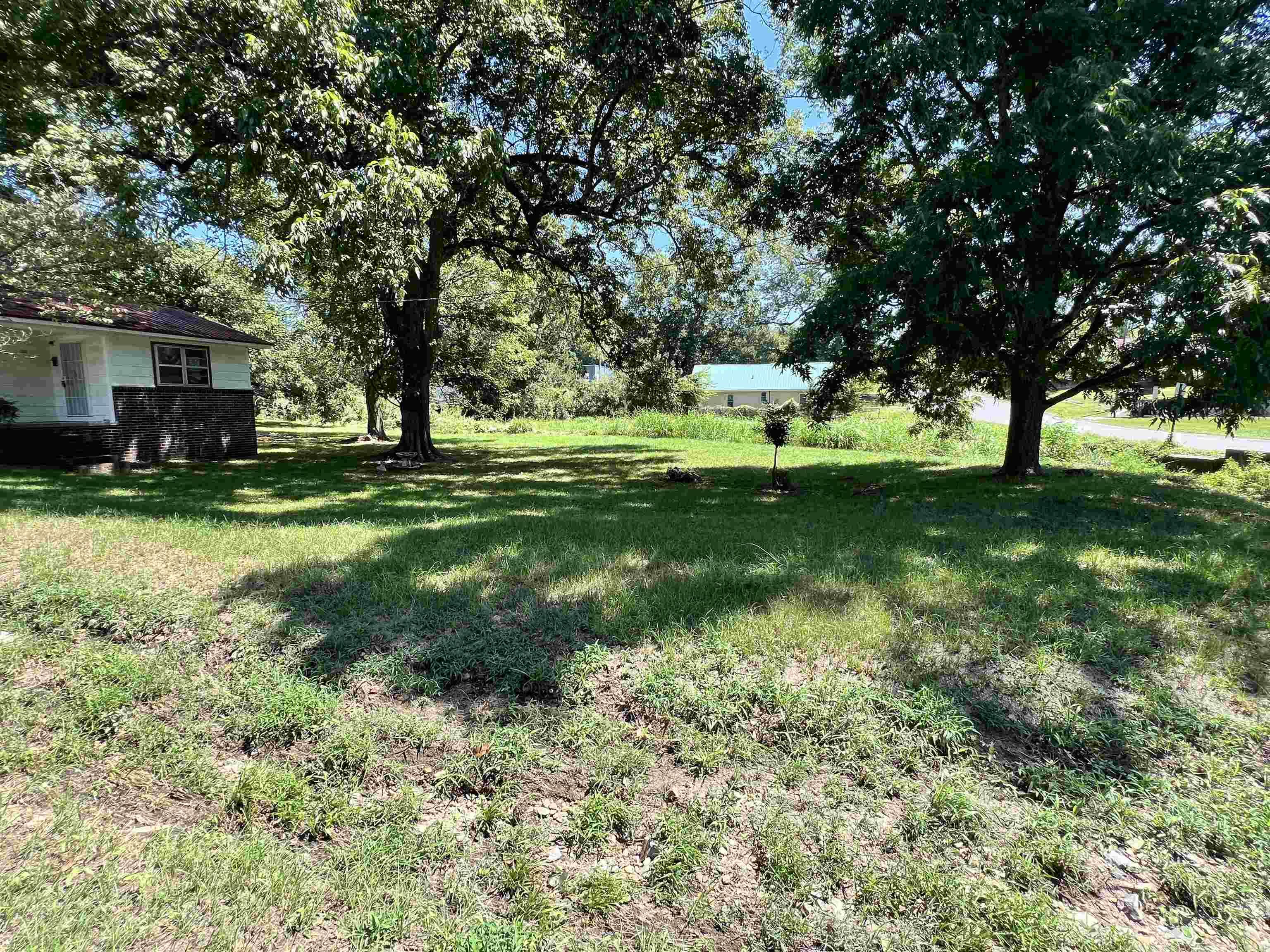 301 Pecan Street — photo 5