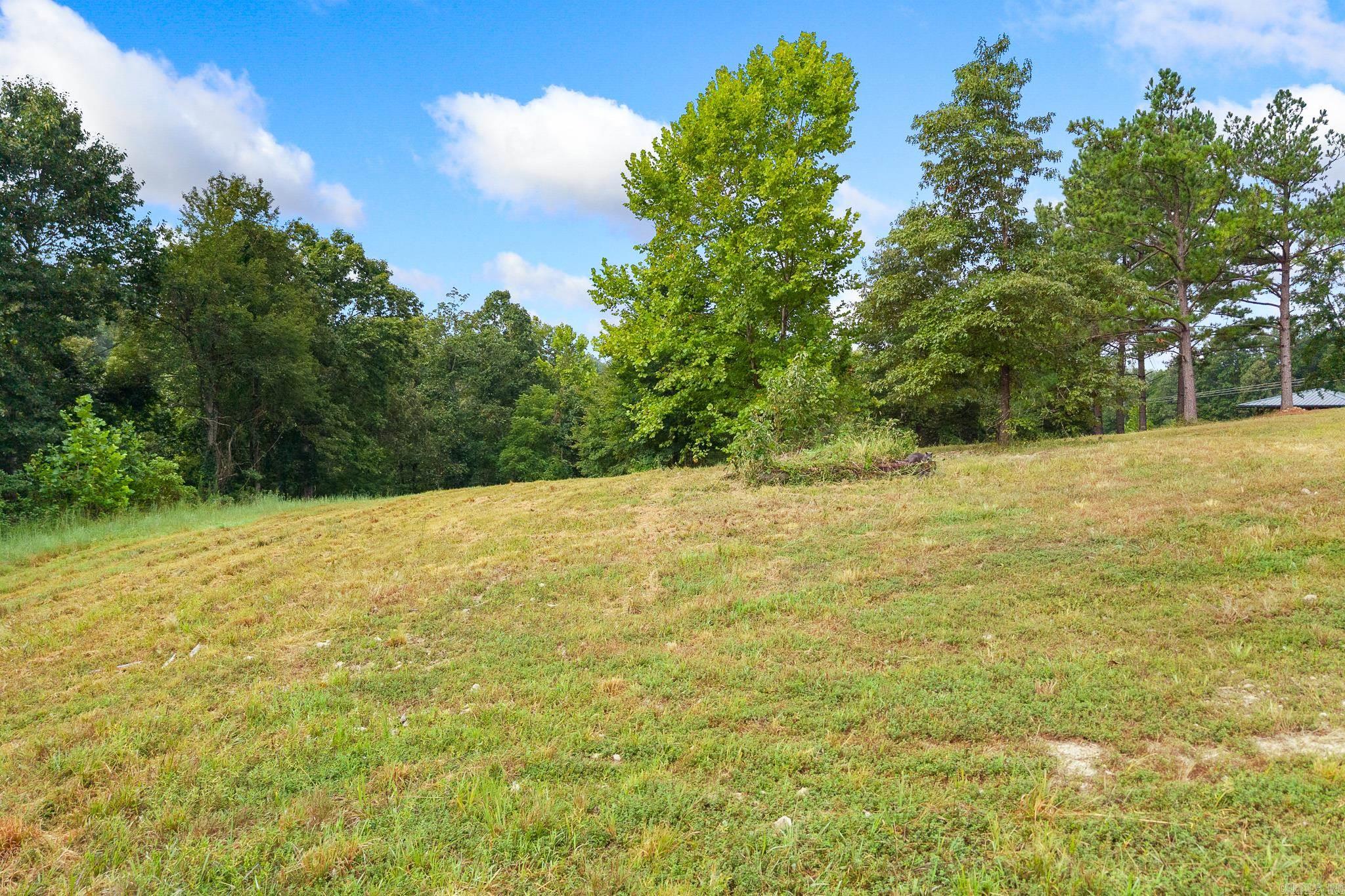 310 Tortoise Trail Saint Joe, AR 72675