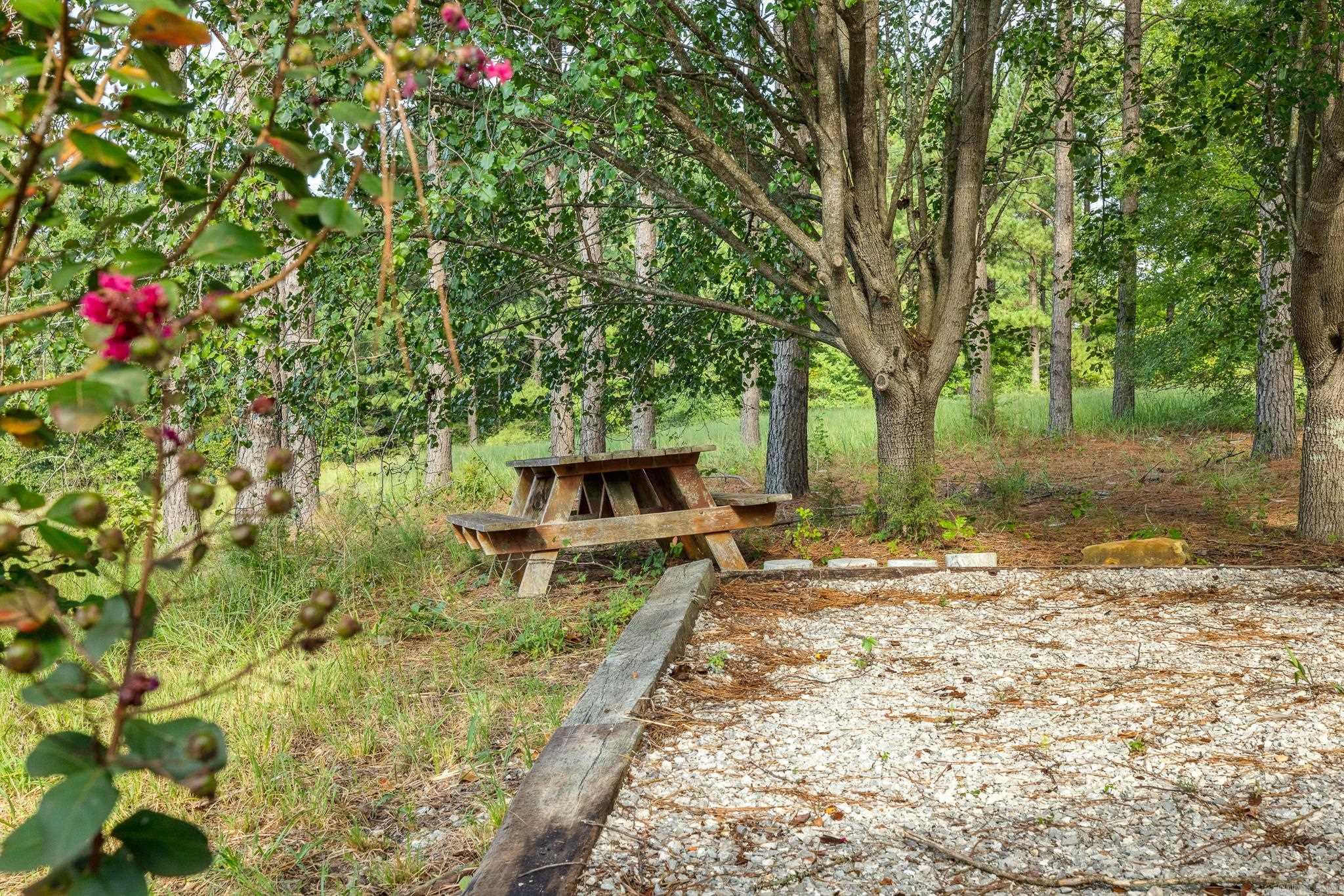 310 Tortoise Trail Saint Joe, AR 72675