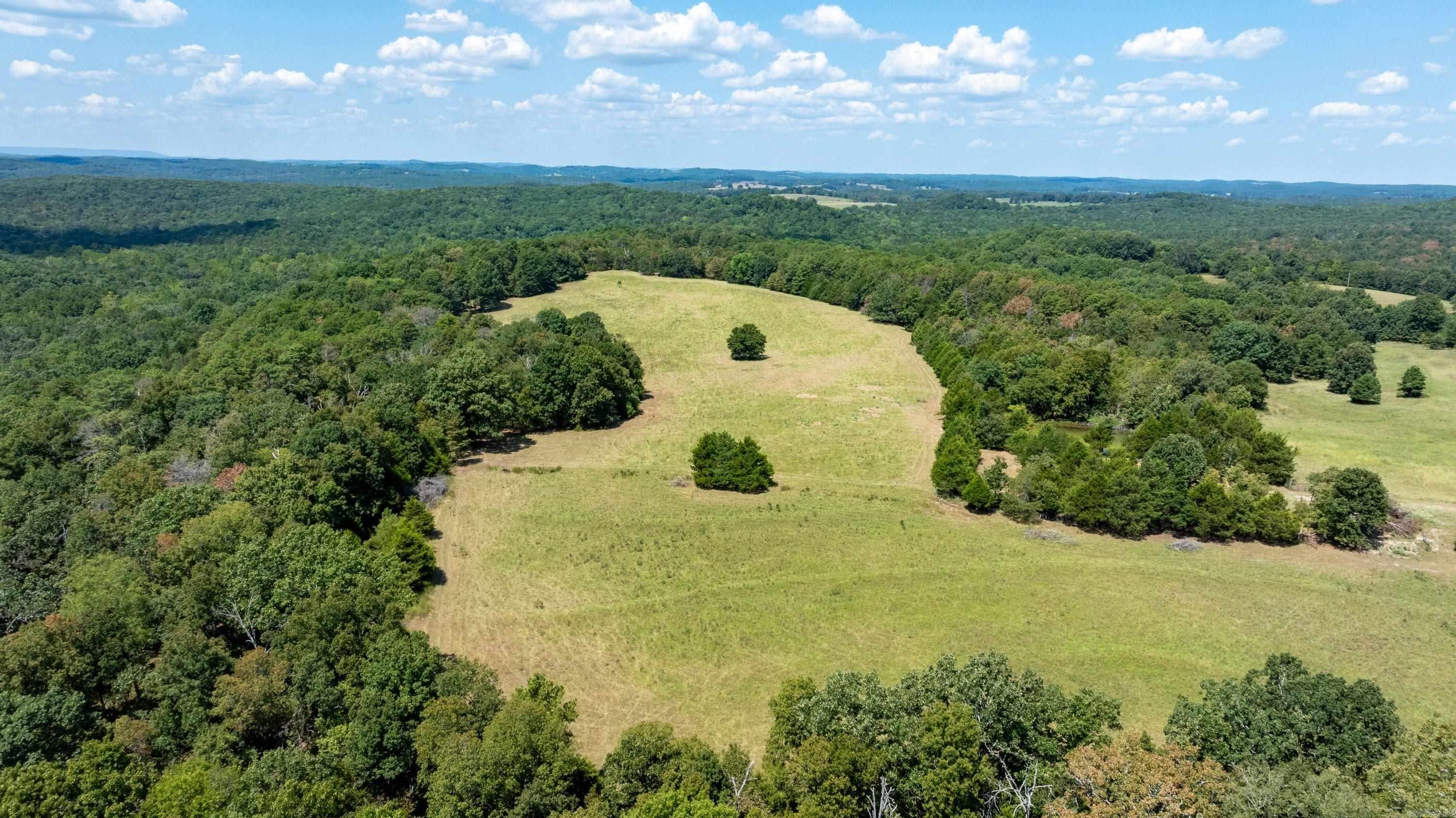 56 Peter Martin Hill Rd Cave City, AR 72521