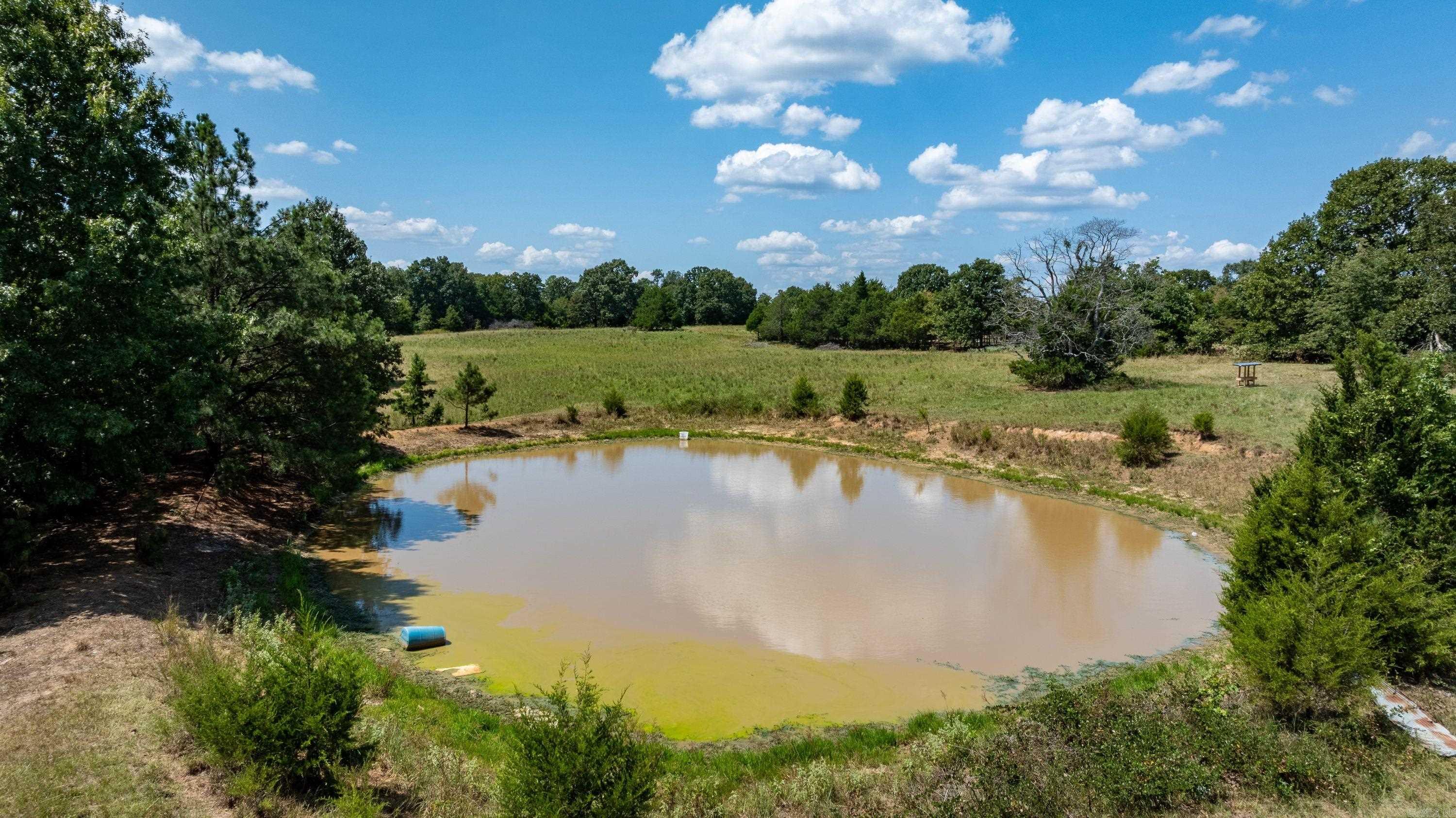 56 Peter Martin Hill Rd Cave City, AR 72521
