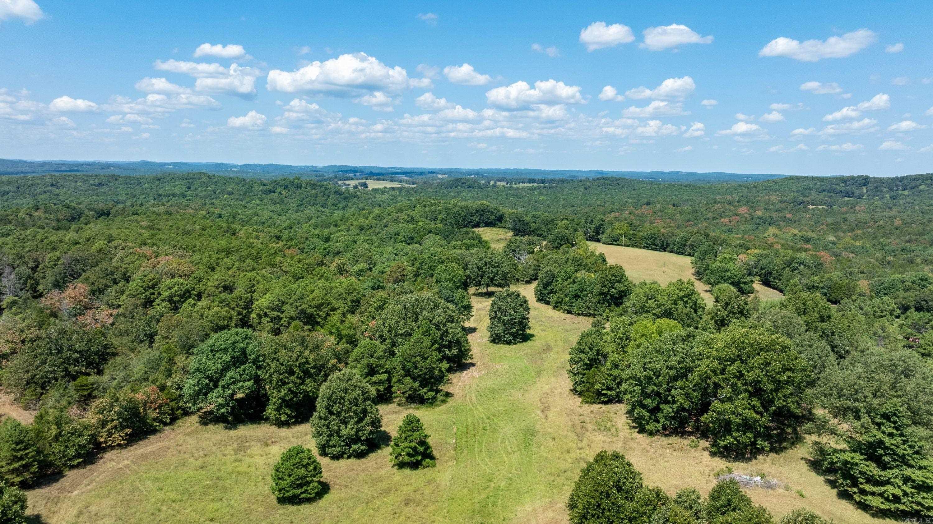56 Peter Martin Hill Rd Cave City, AR 72521