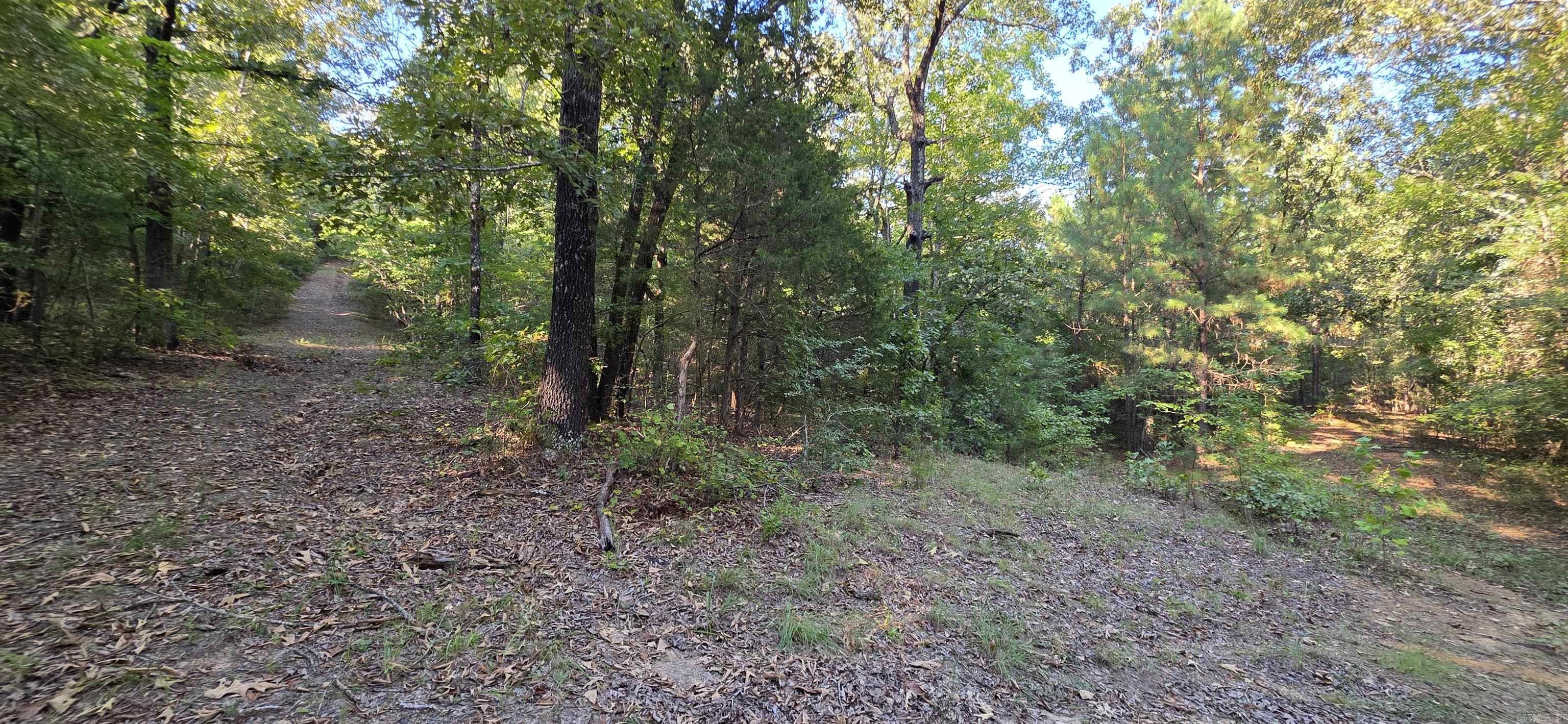 201 Hidden Ridge Road — photo 3
