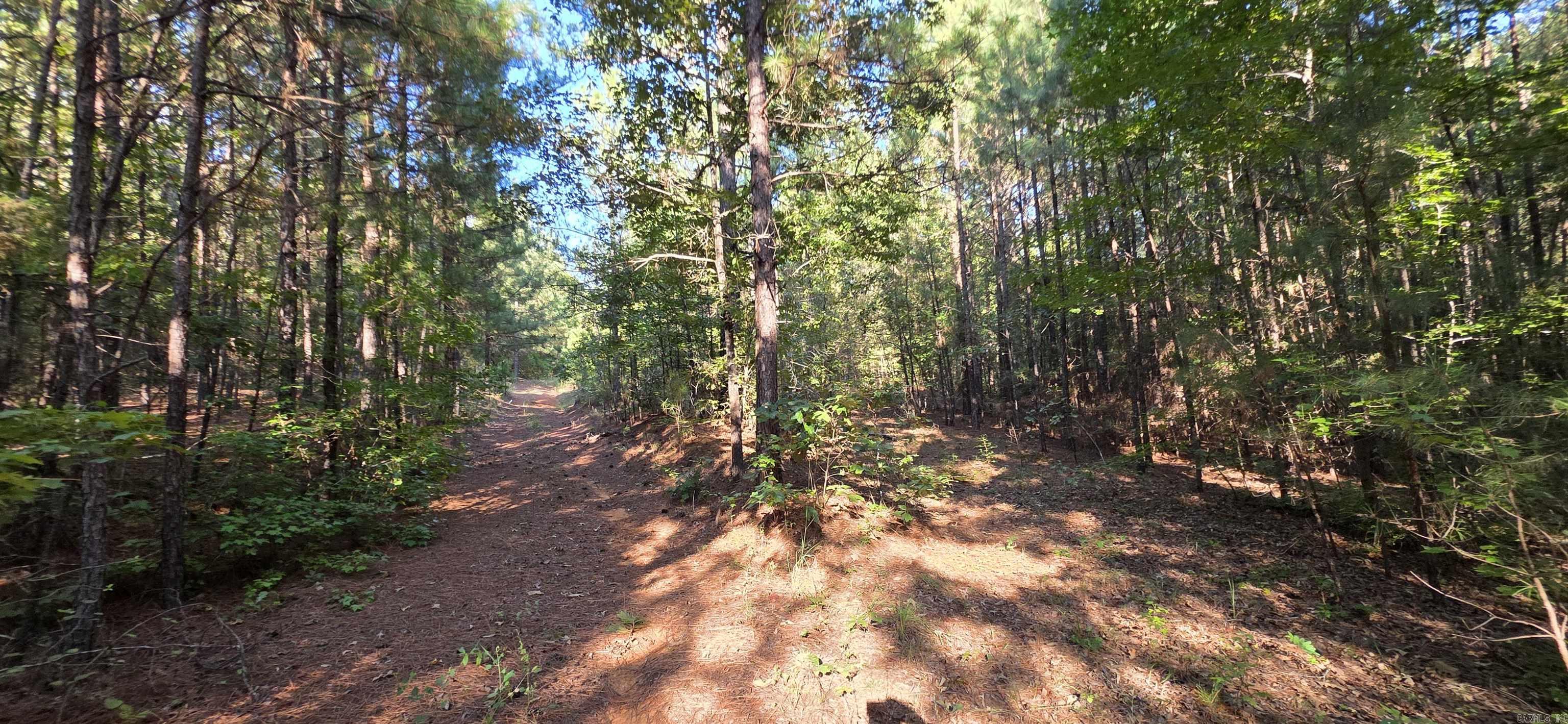 201 Hidden Ridge Road — photo 4