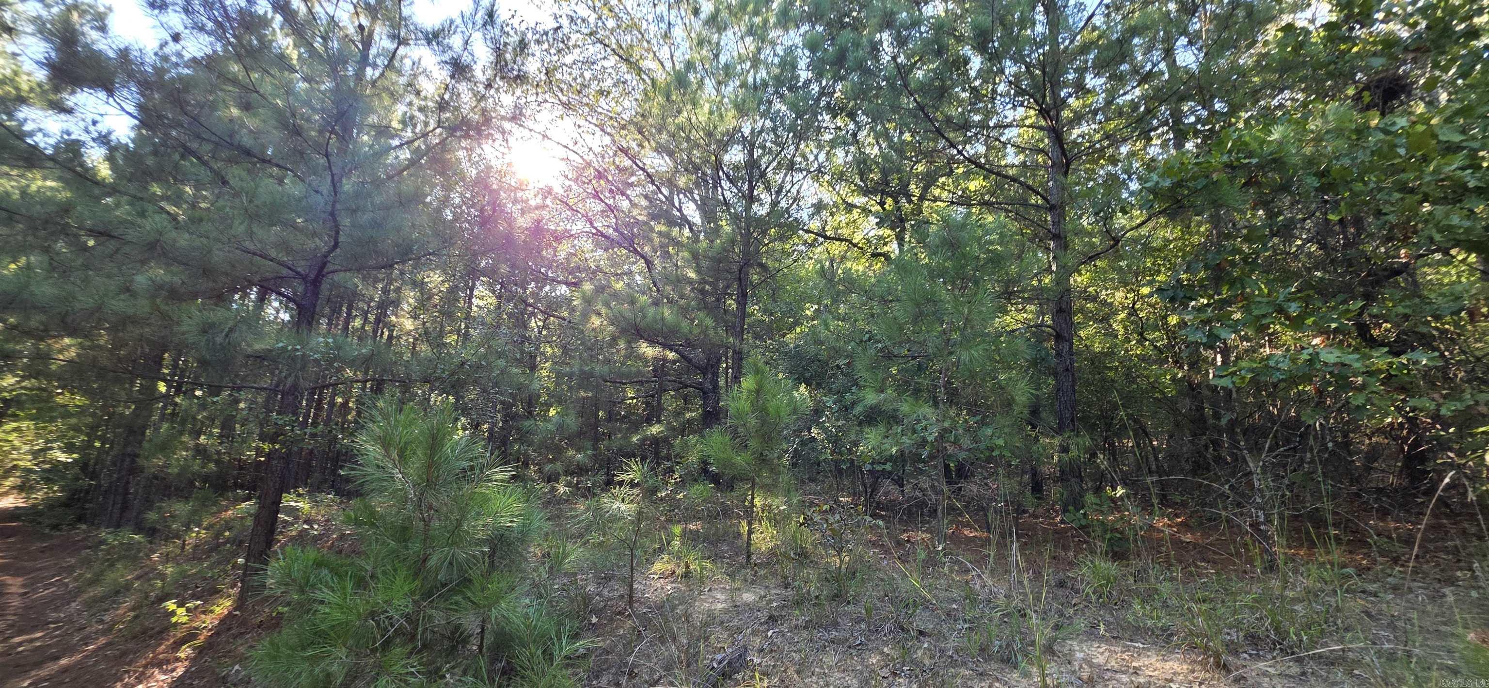 201 Hidden Ridge Road — photo 5