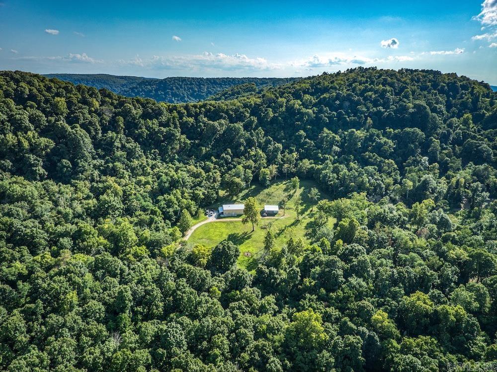 3036 NC 4830 Mount Judea, AR 72655