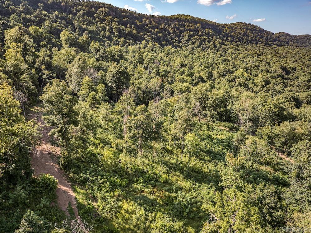 3036 NC 4830 Mount Judea, AR 72655