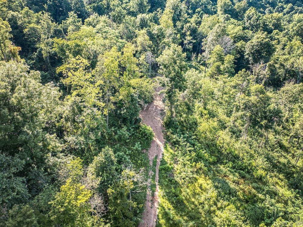 3036 NC 4830 Mount Judea, AR 72655