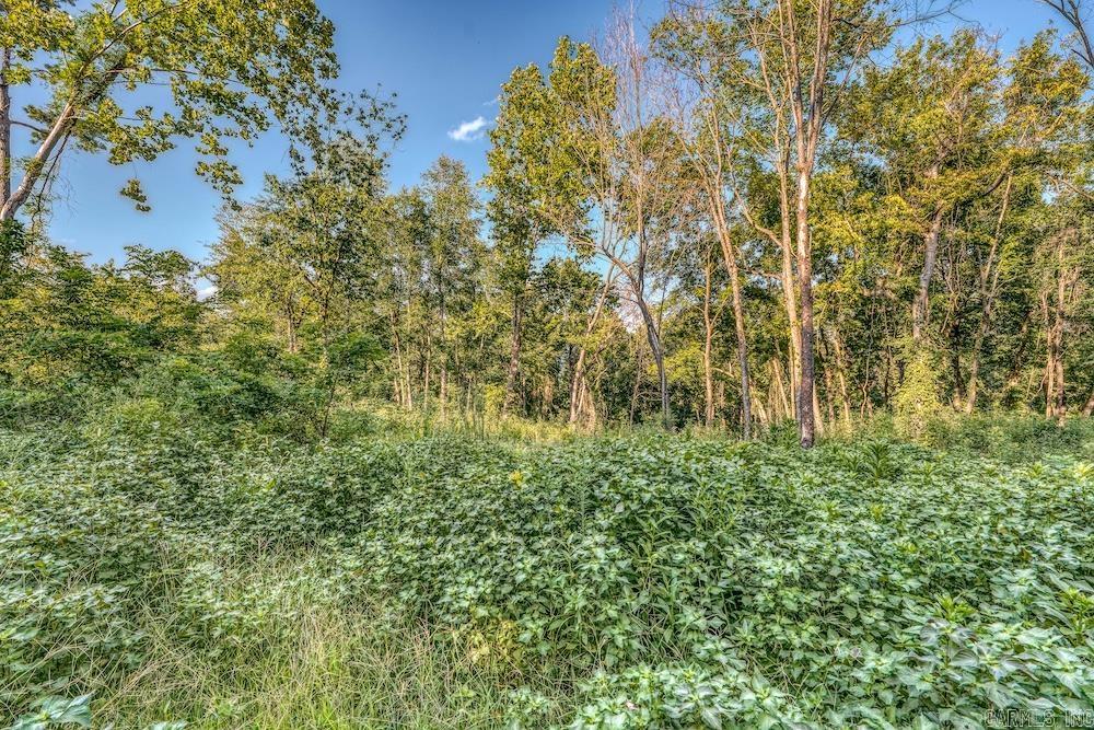 3036 NC 4830 Mount Judea, AR 72655