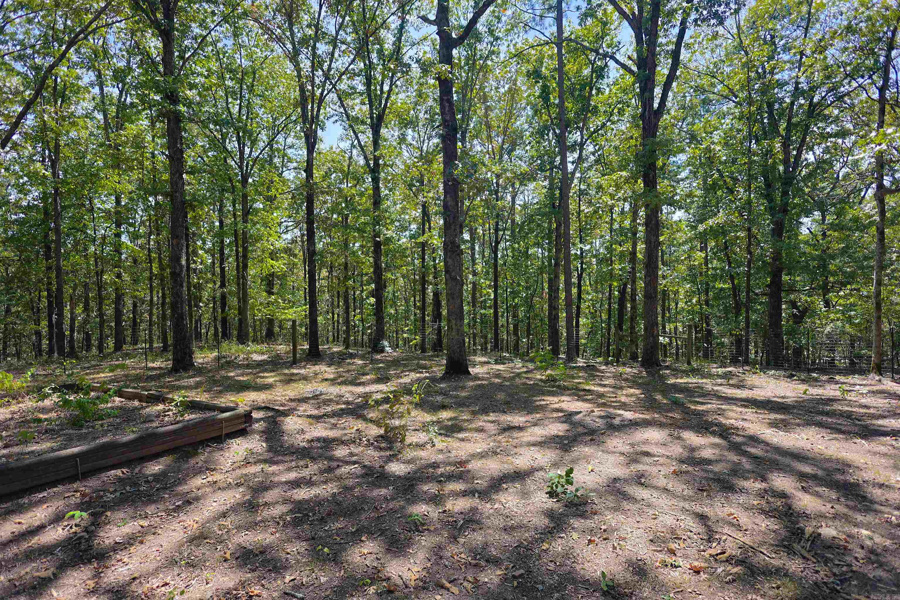 61 Hay  Glenwood, AR