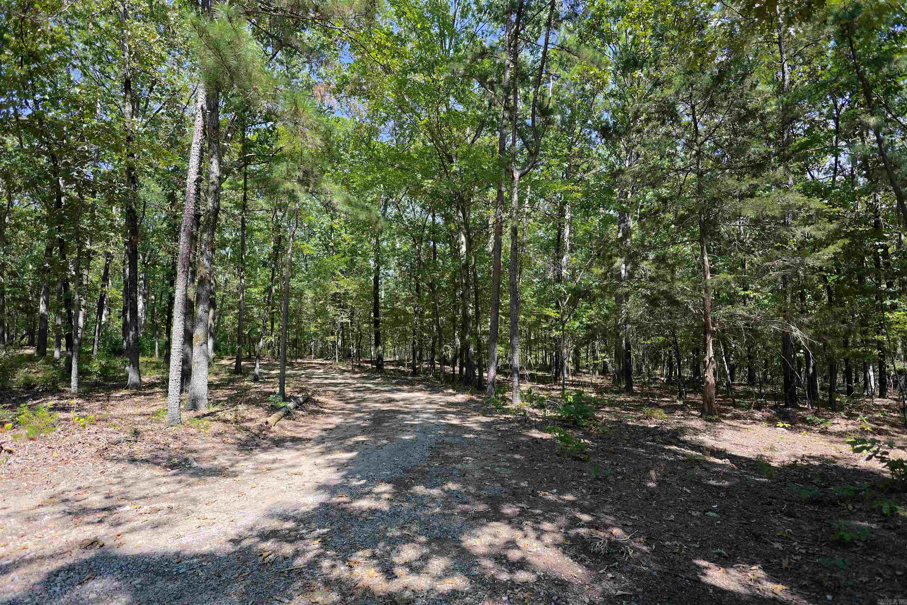 61 Hay  Glenwood, AR