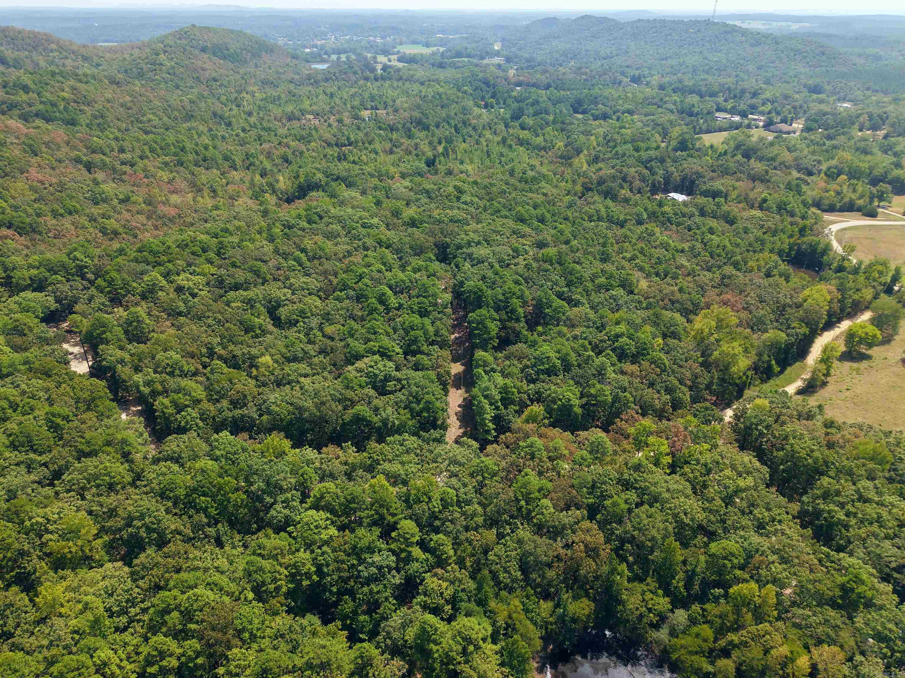 61 Hay  Glenwood, AR