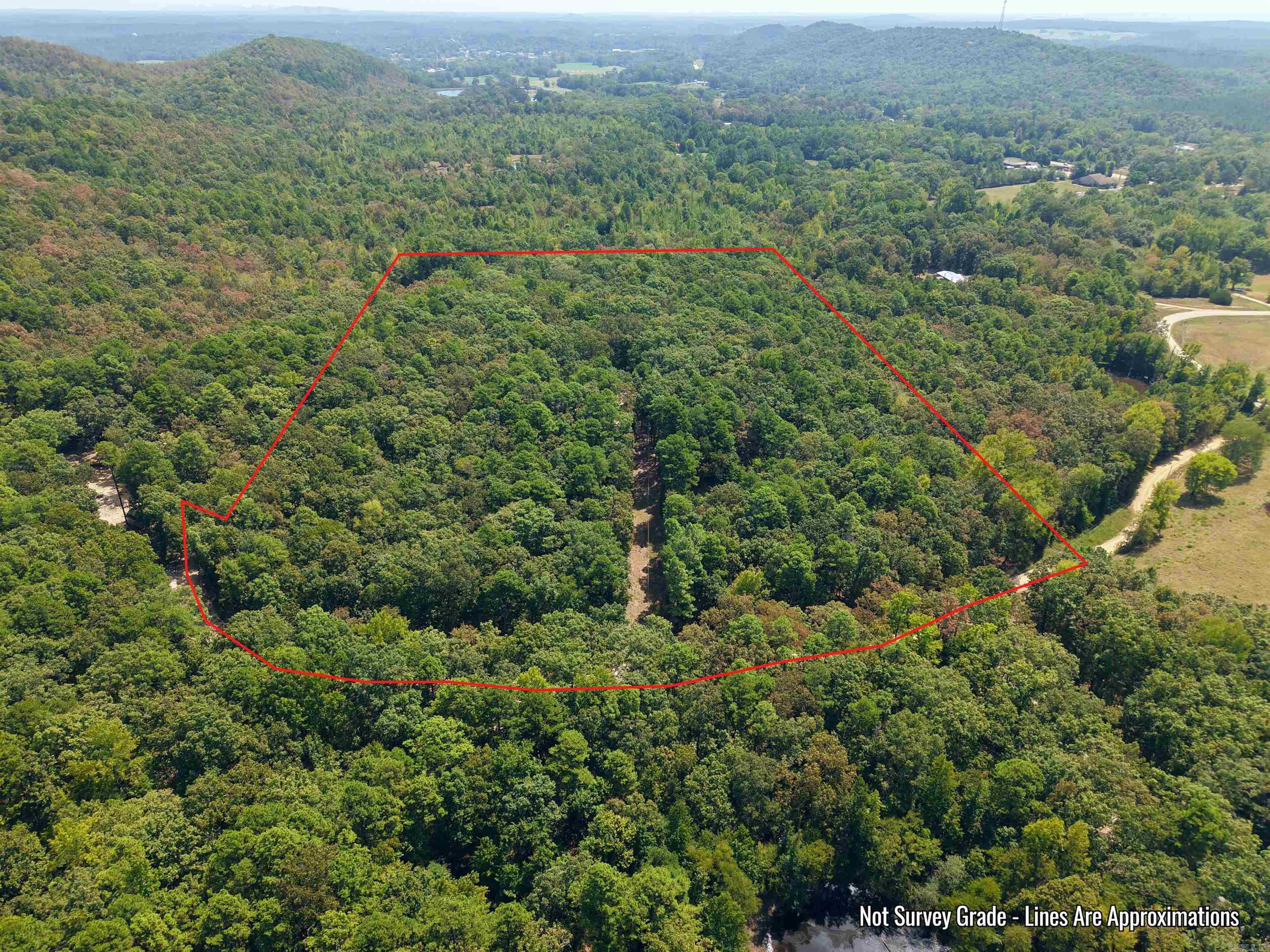 61 Hay  Glenwood, AR