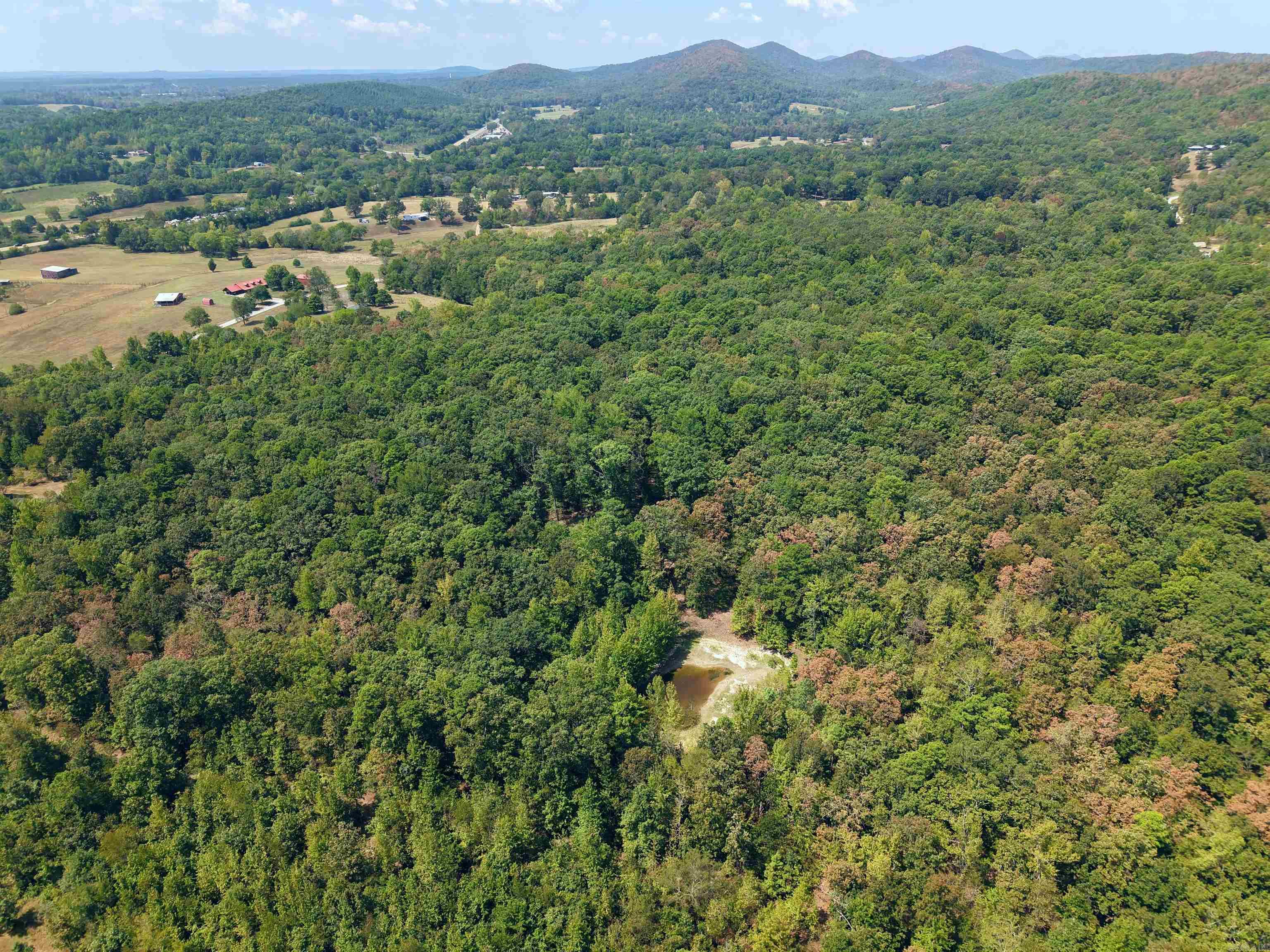 61 Hay  Glenwood, AR