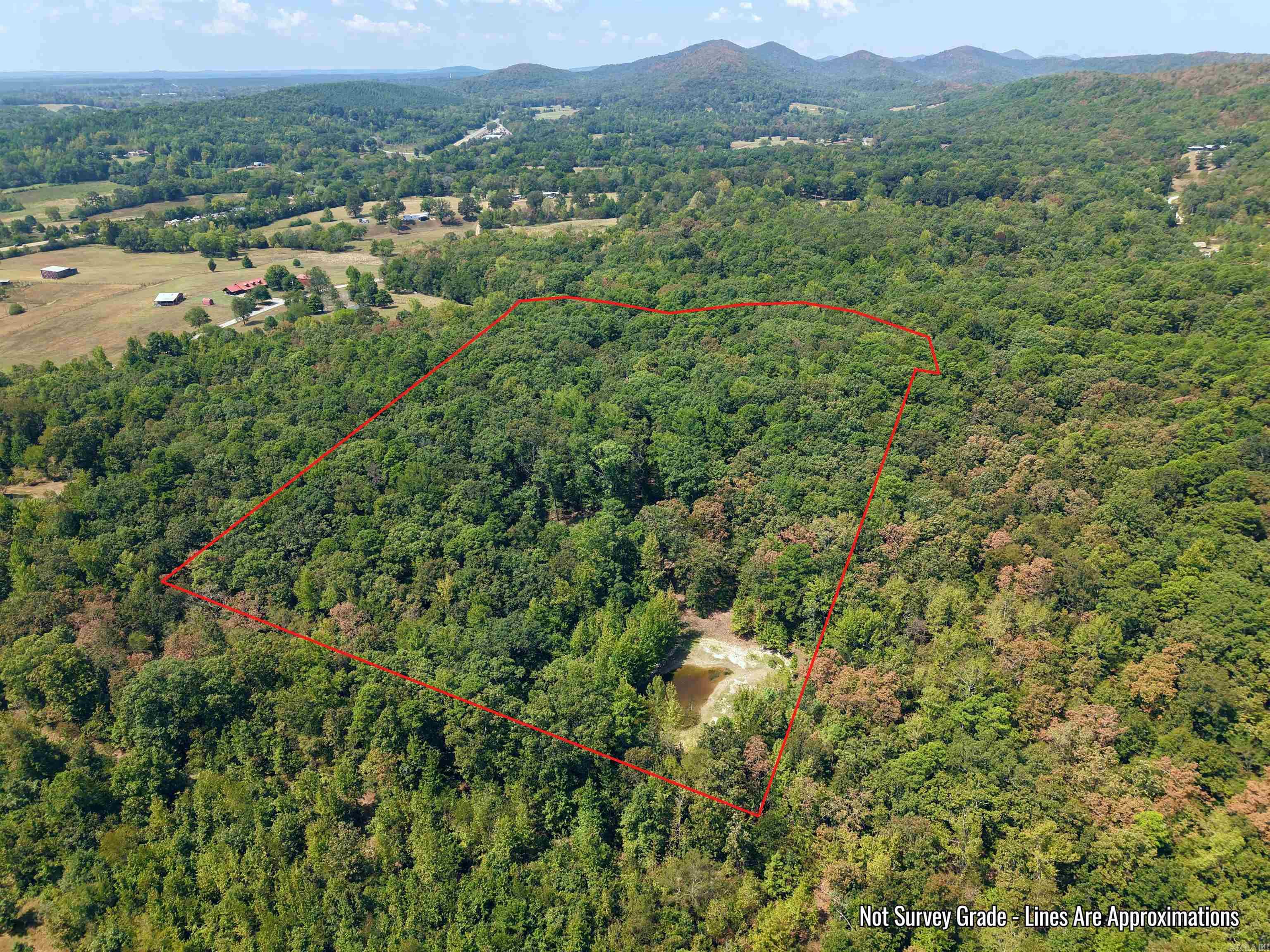 61 Hay  Glenwood, AR