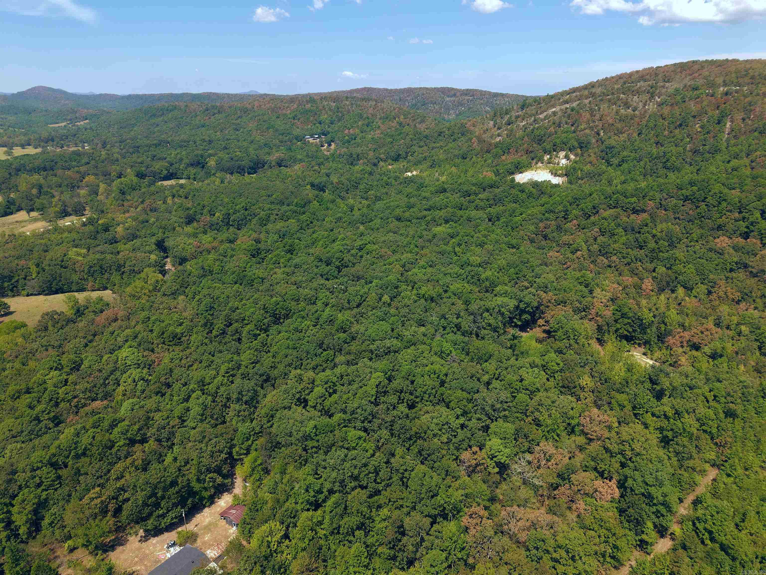 61 Hay  Glenwood, AR