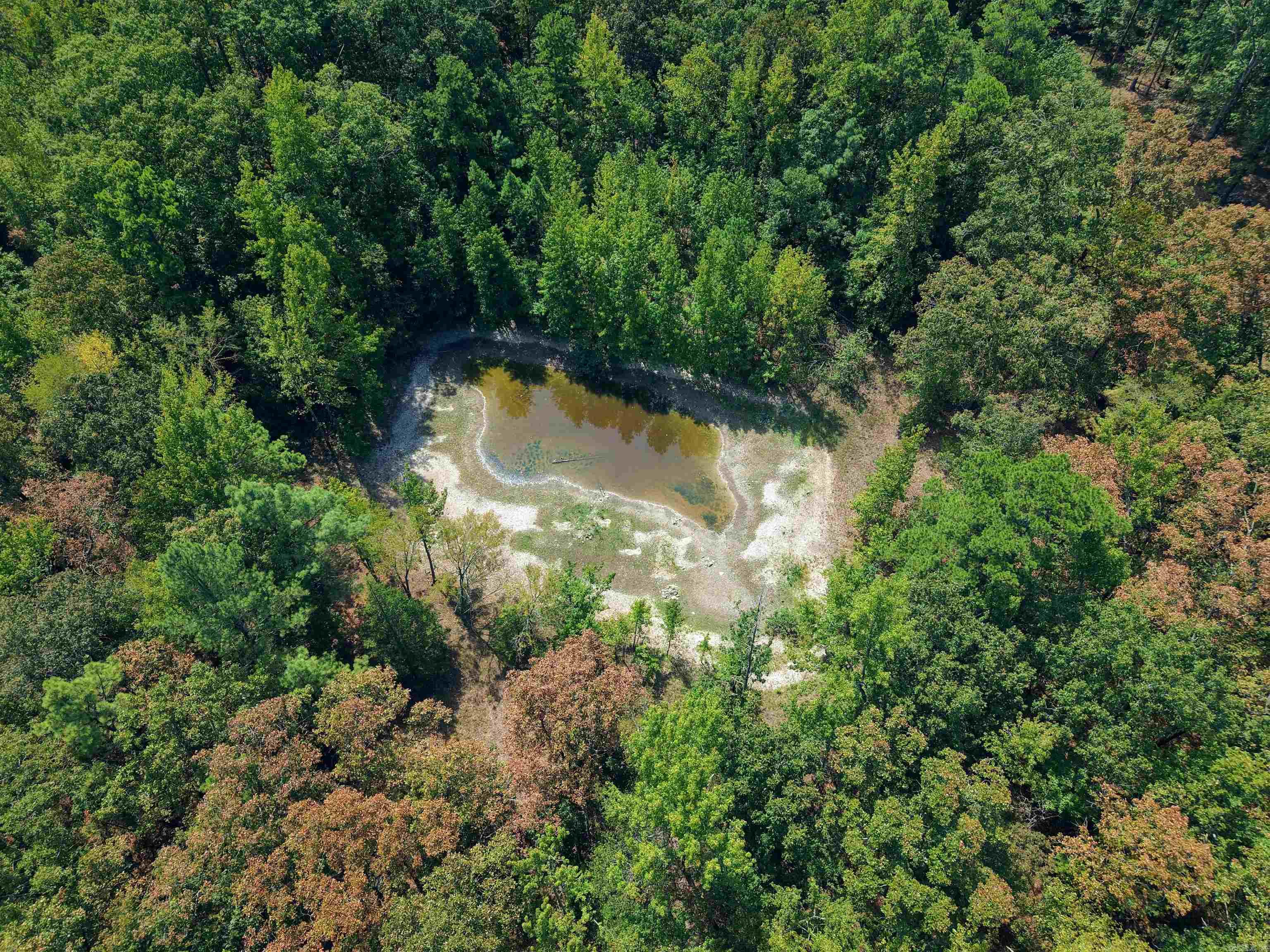 61 Hay  Glenwood, AR