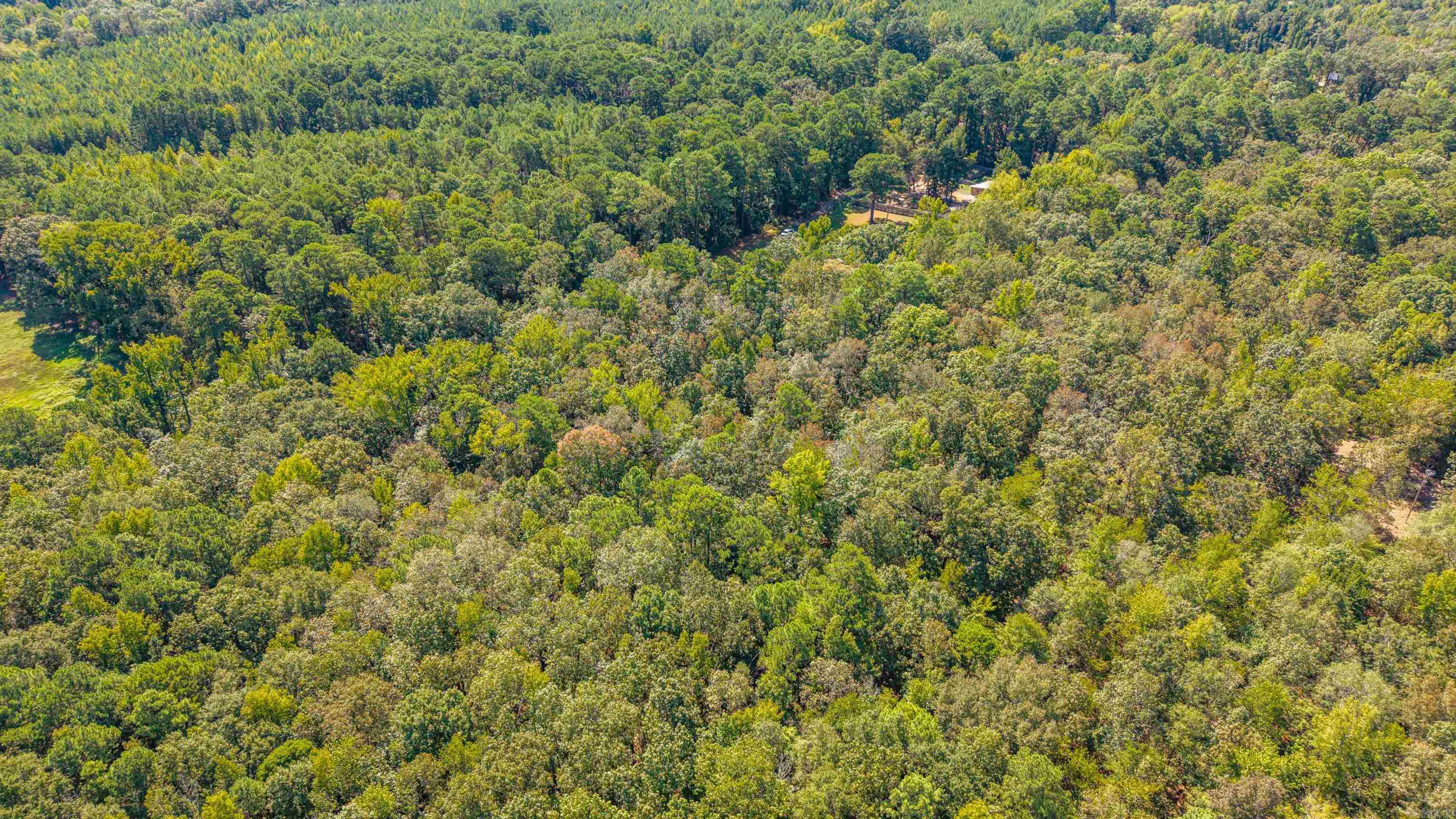 55 & 60 Wood  Arkadelphia, AR