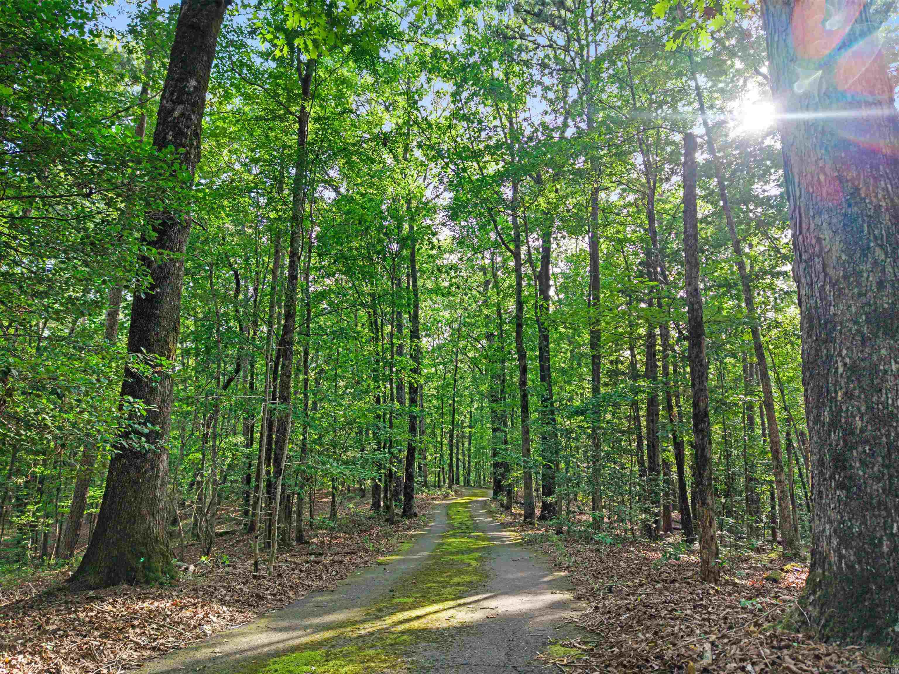 163 Quail Run Lane Mount Ida, AR 71957