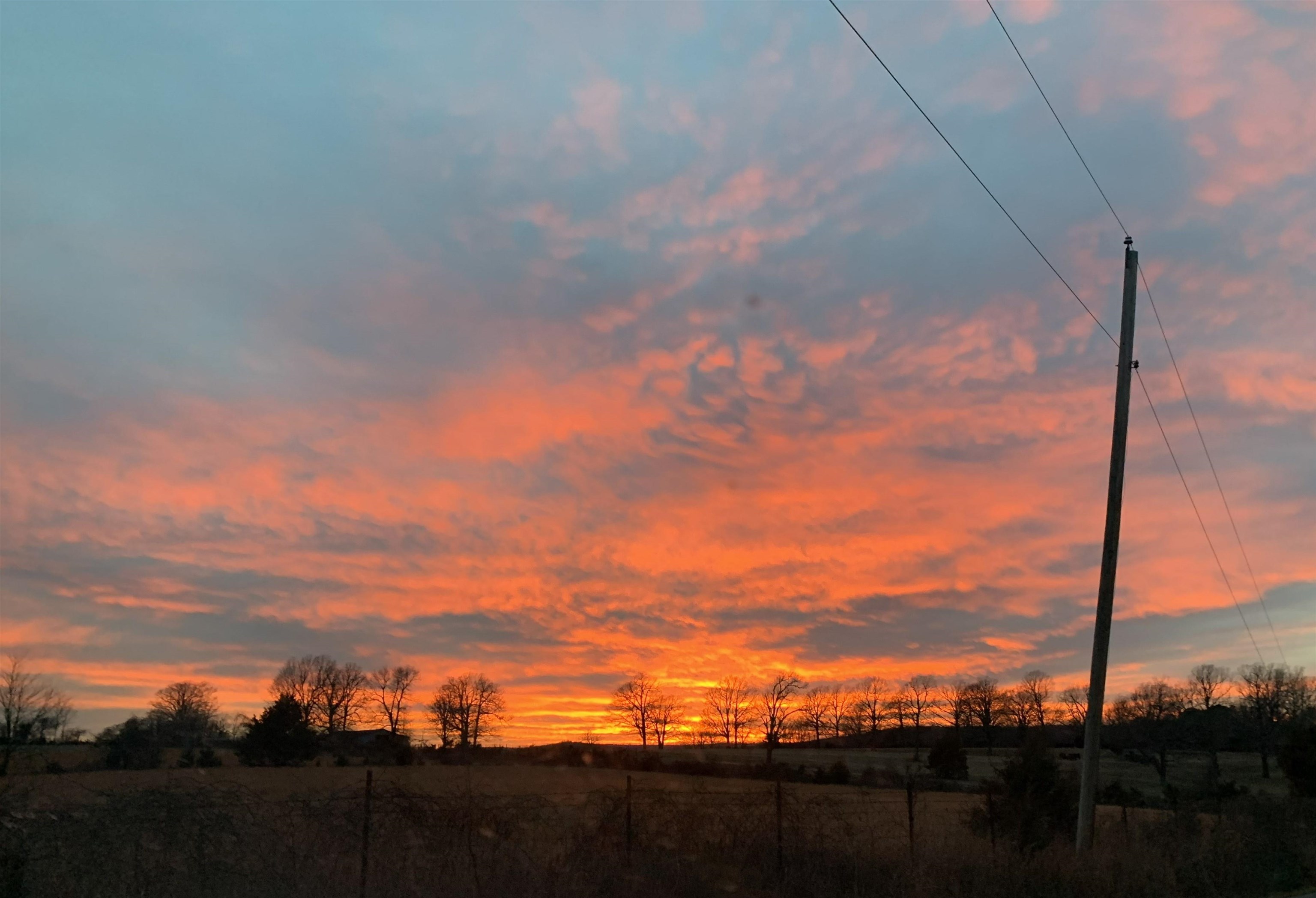 2118 Jimmy Creek  Fox, AR