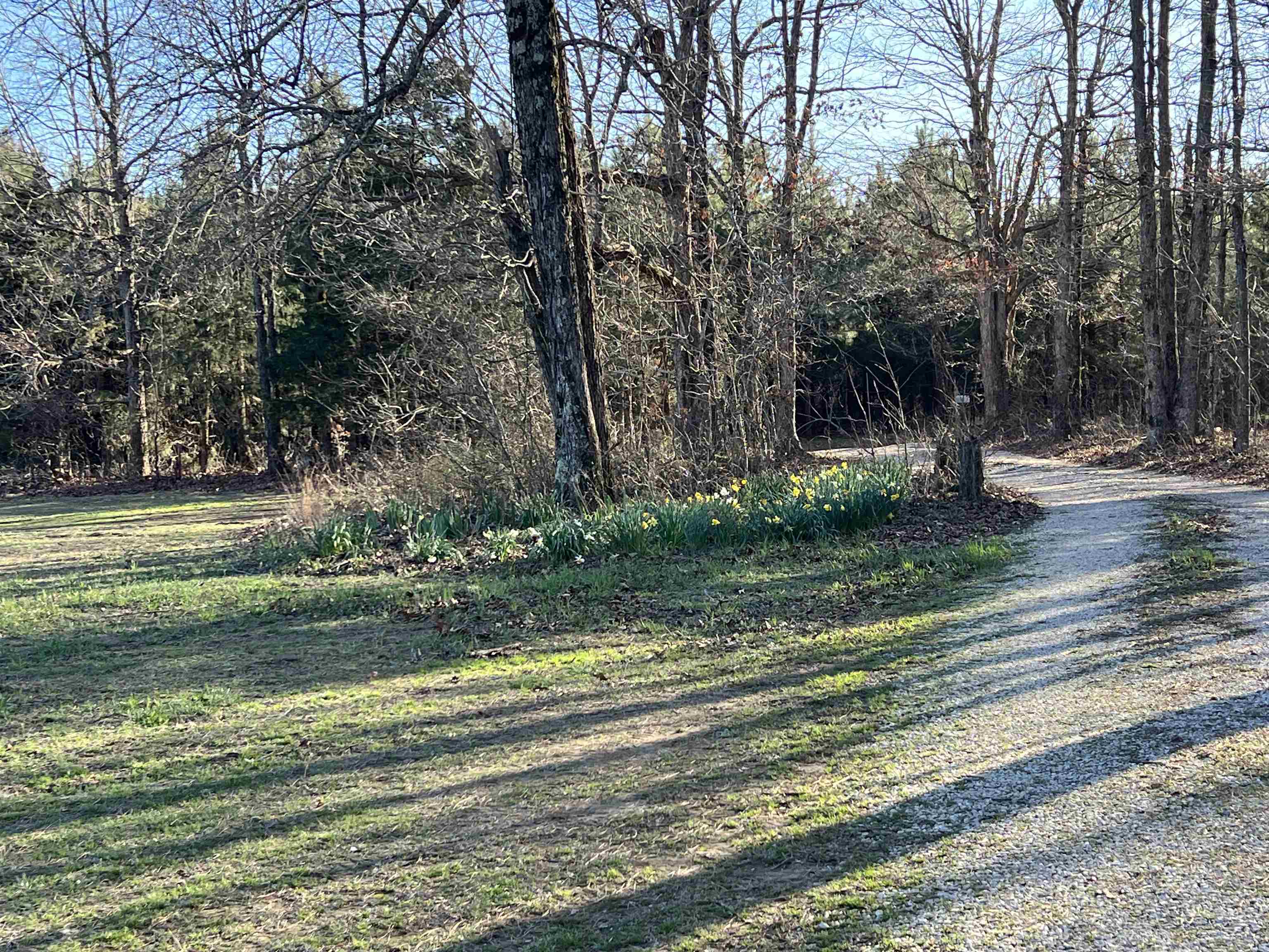2118 Jimmy Creek  Fox, AR