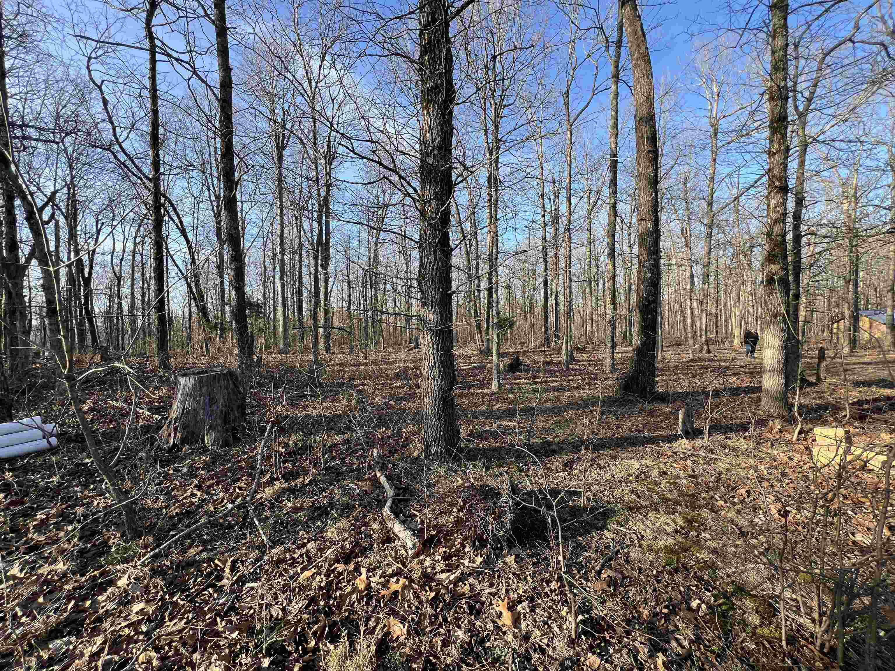 2118 Jimmy Creek  Fox, AR