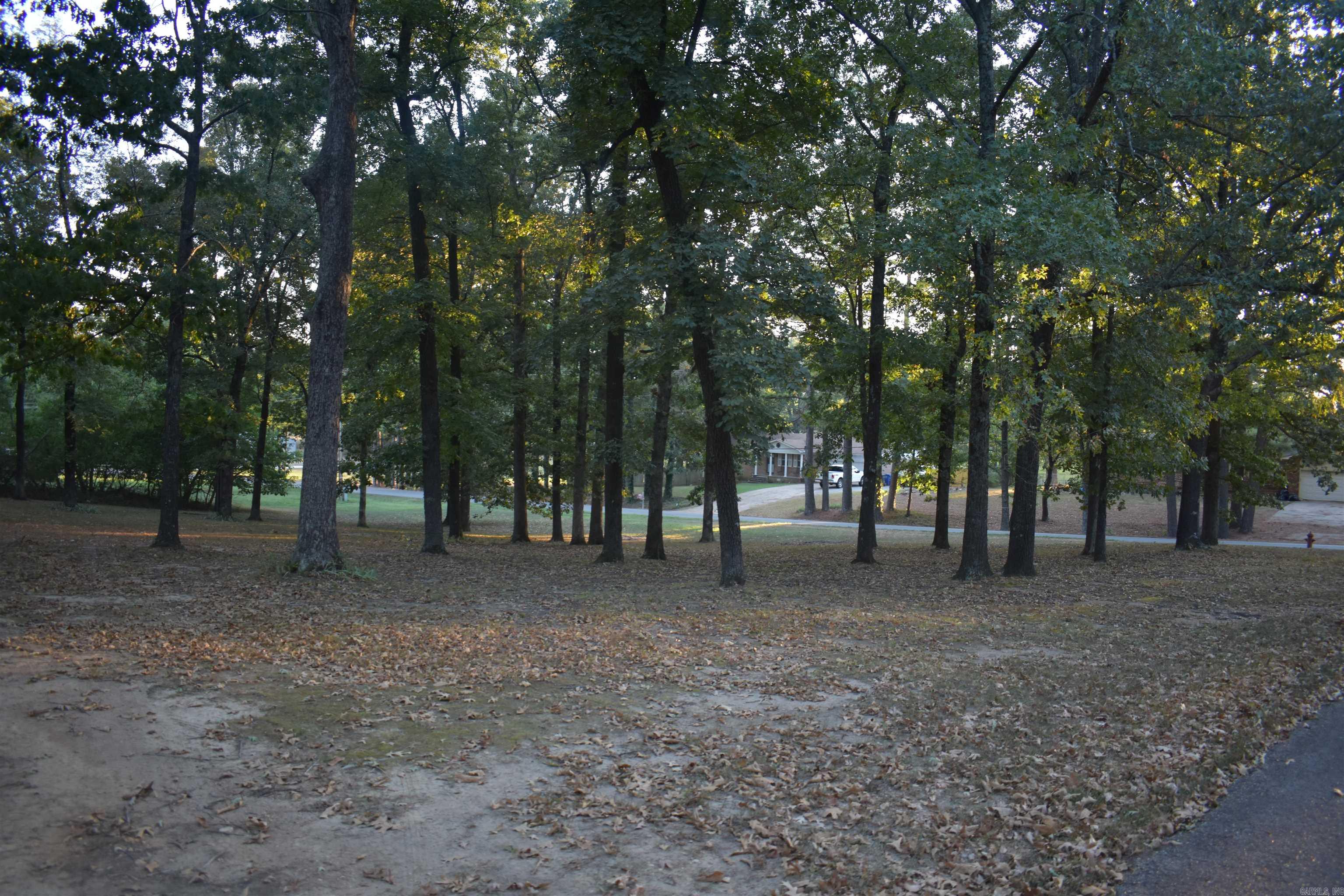 5003 Lynette  Jonesboro, AR