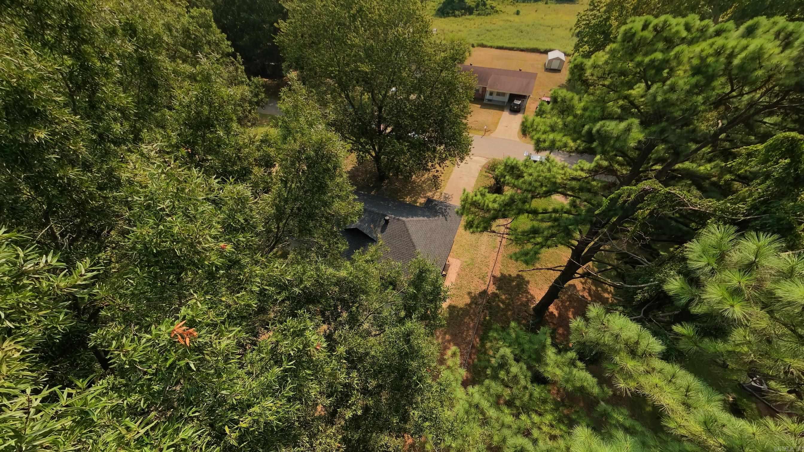1317 Cindy Lane  Diaz, AR