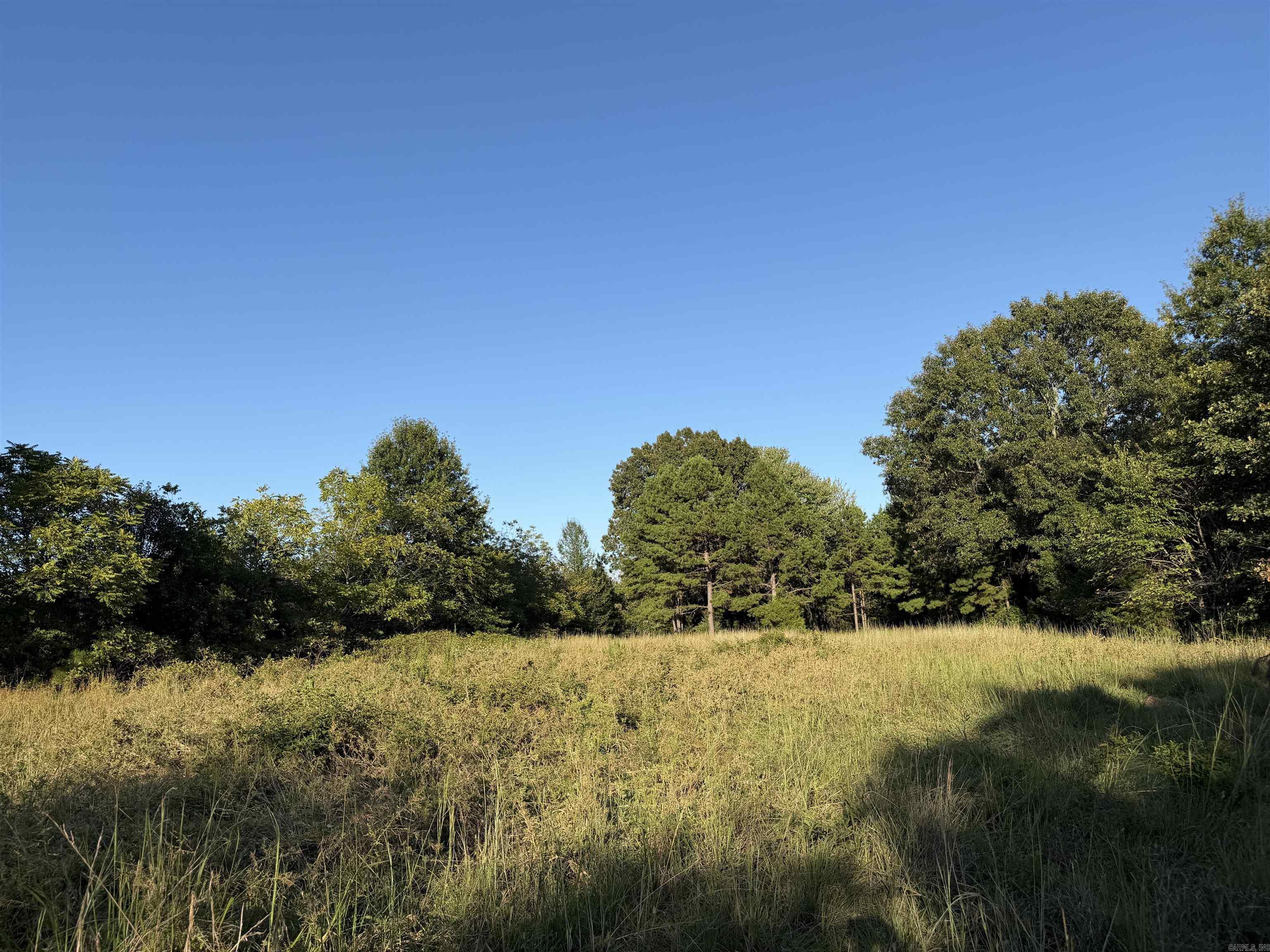 1418 Grassy Hollow Road  Clinton, AR