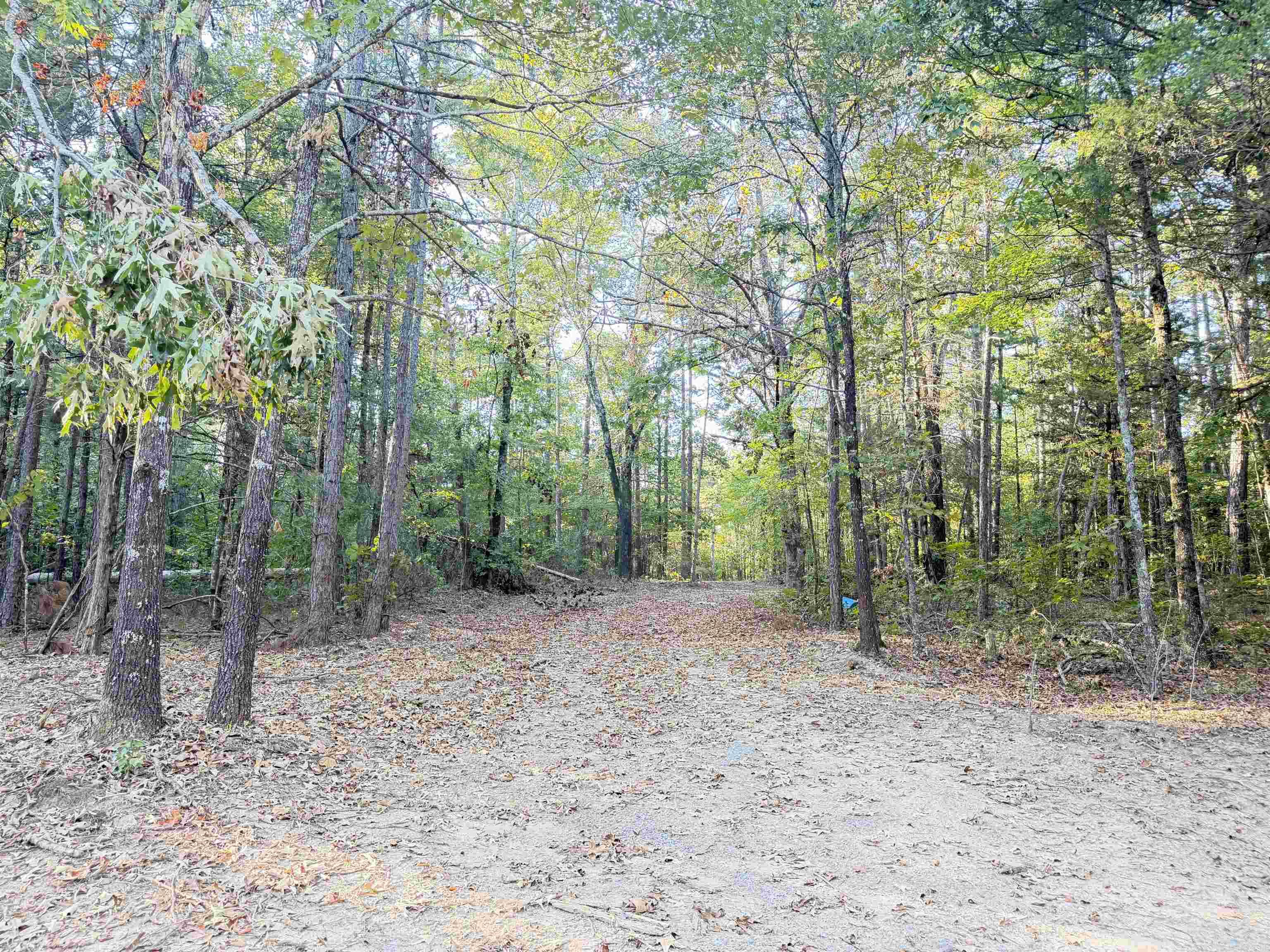 1418 Grassy Hollow Road  Clinton, AR