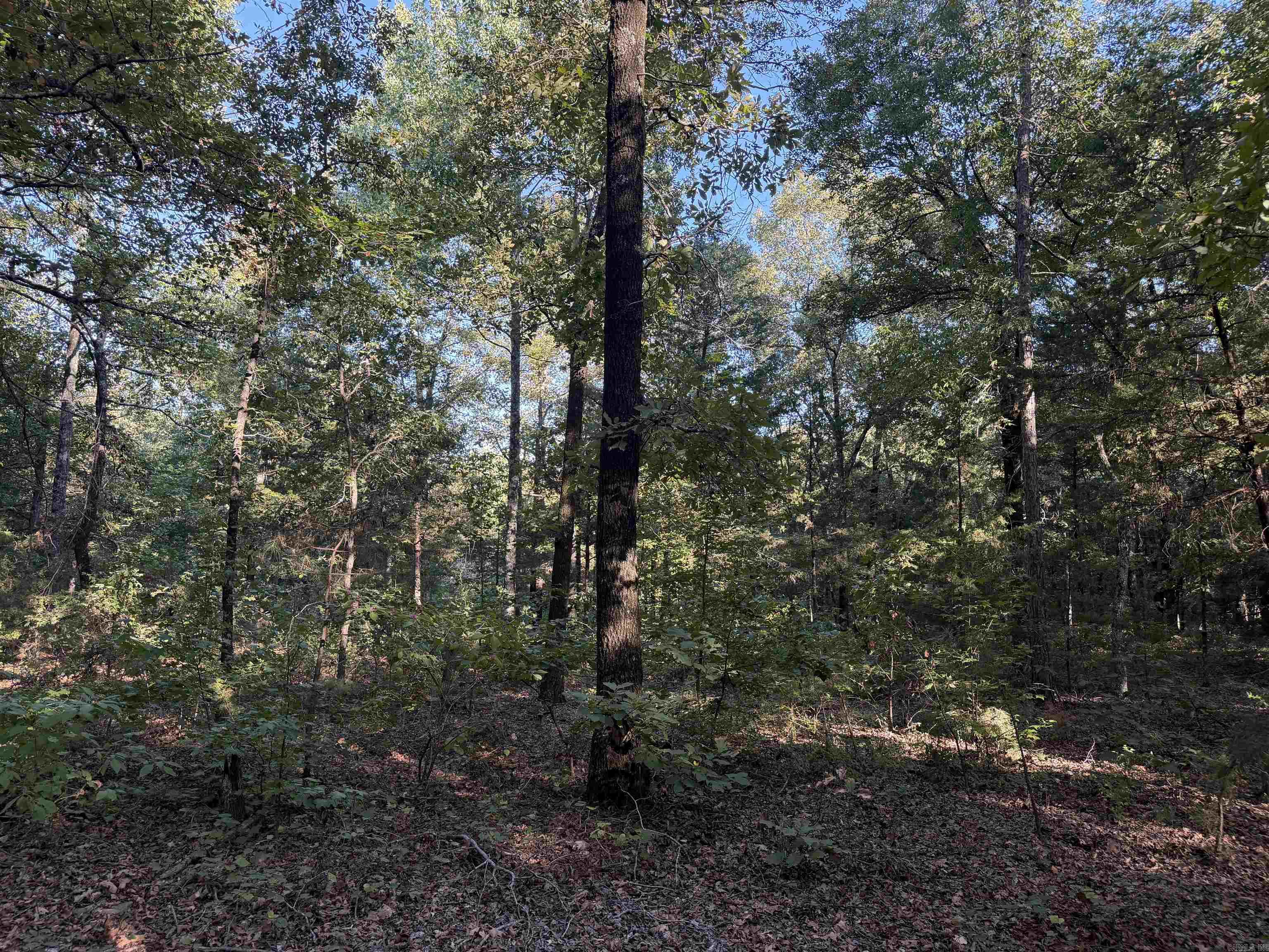 1418 Grassy Hollow Road  Clinton, AR