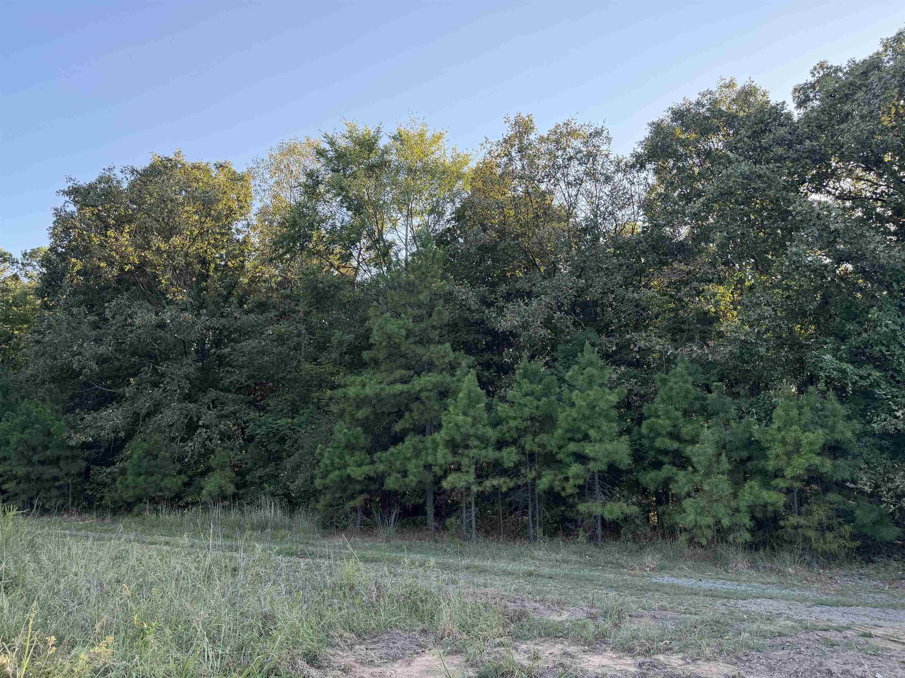 1418 Grassy Hollow Road  Clinton, AR