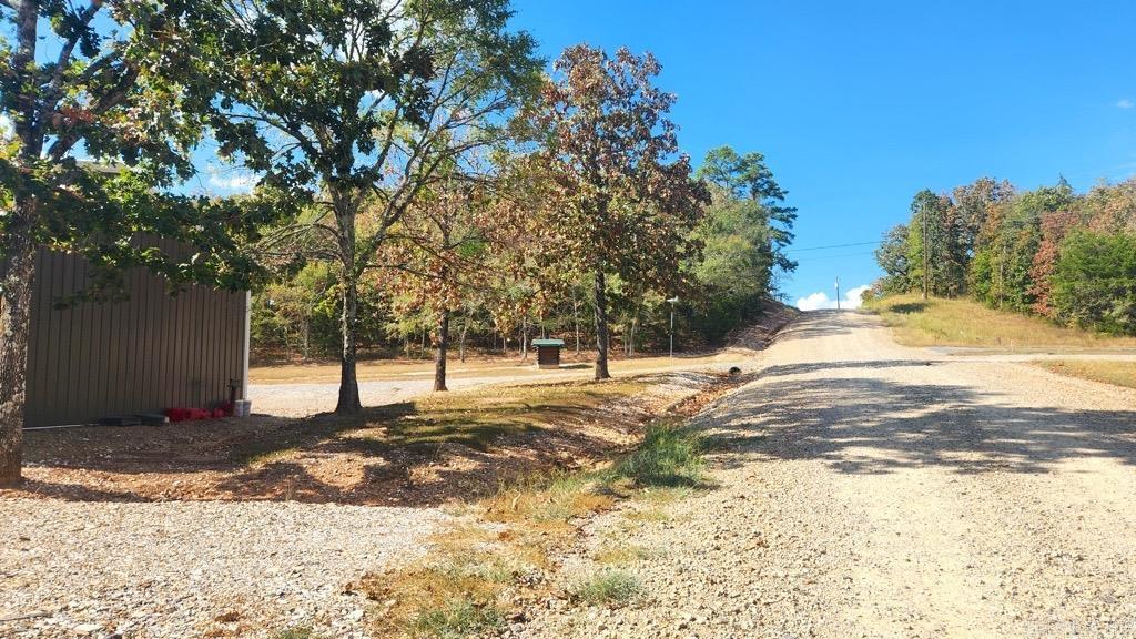 35 Prickley Pear Patch  Mount Ida, AR
