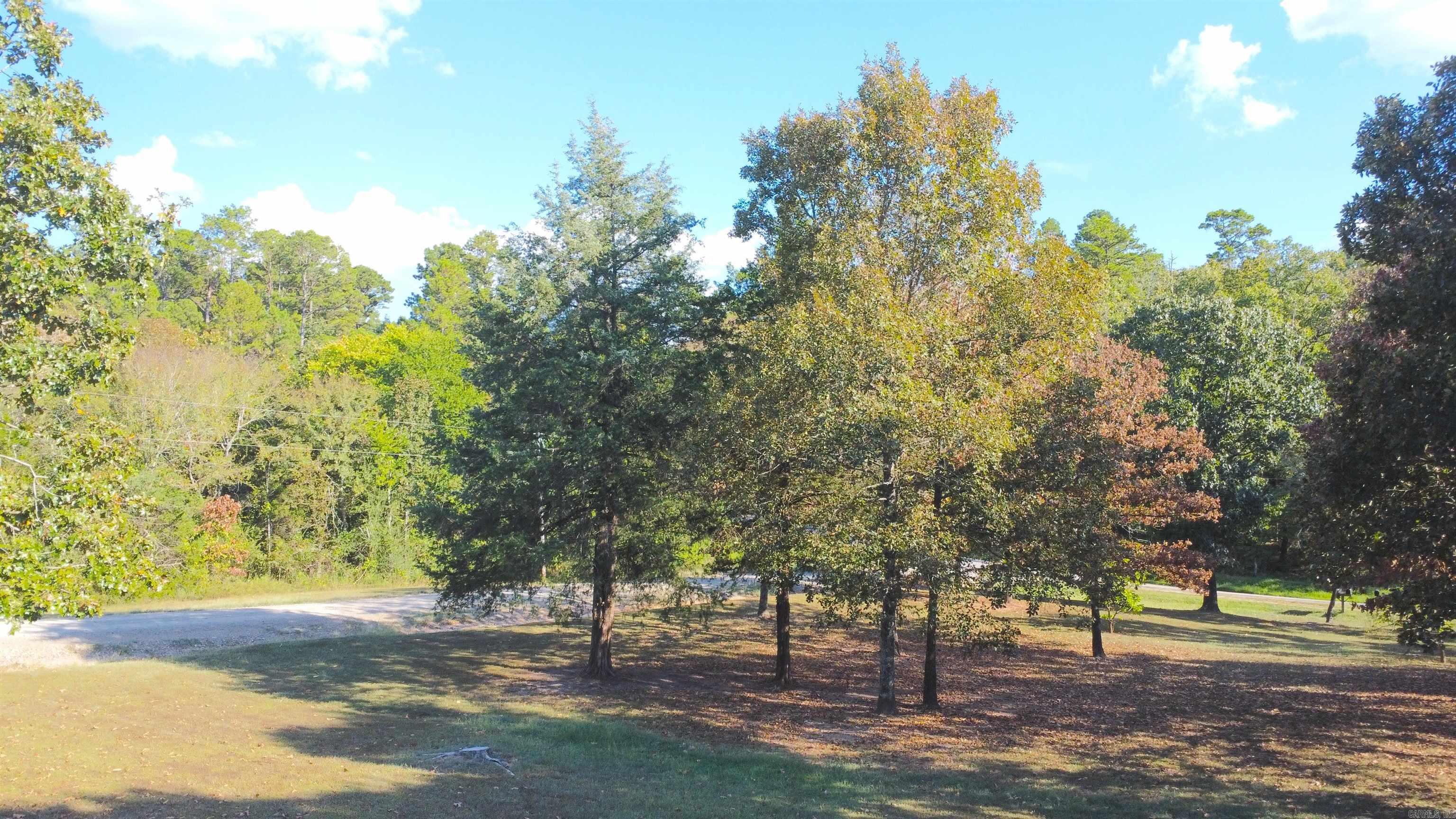 35 Prickley Pear Patch  Mount Ida, AR