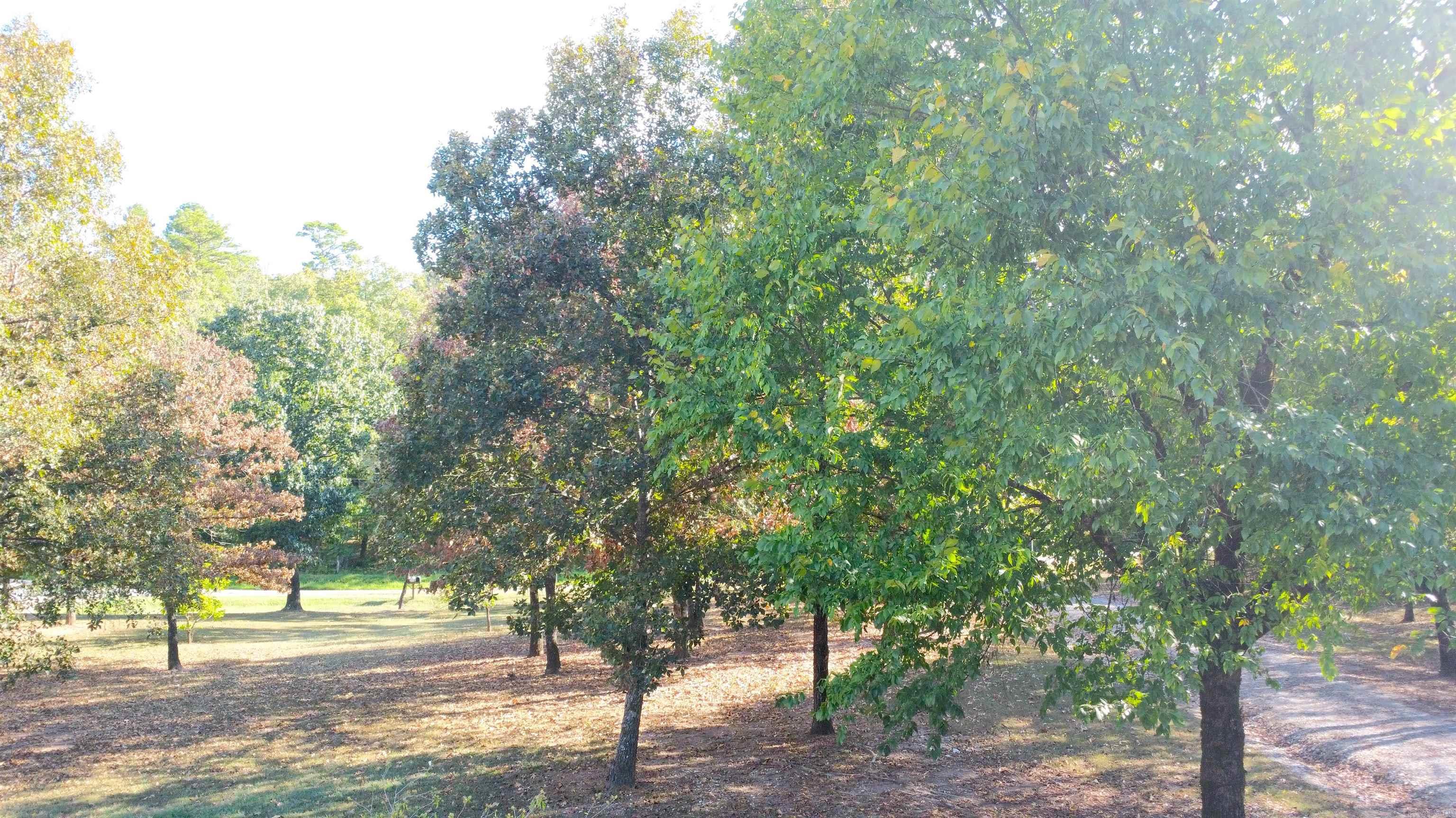 35 Prickley Pear Patch  Mount Ida, AR