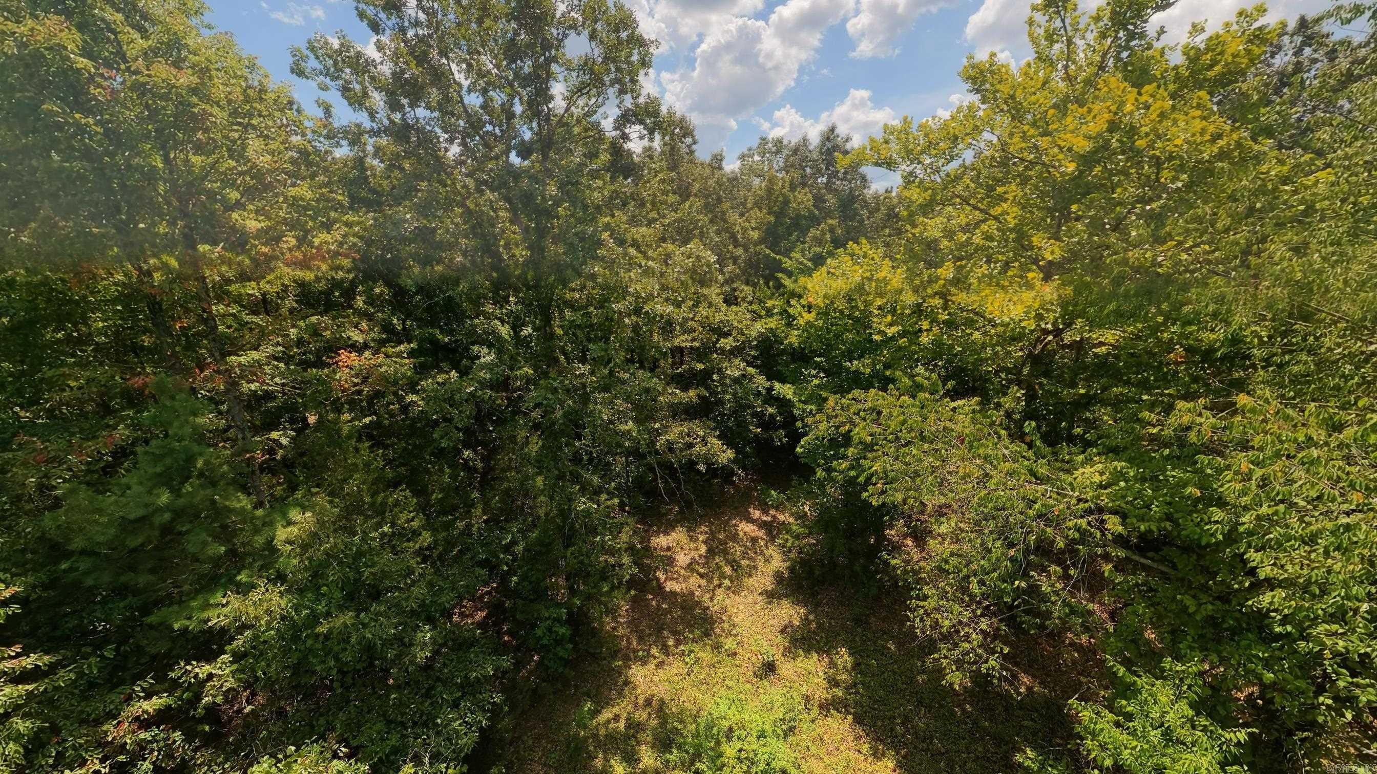 14524 State Route 17  West Plains, MO