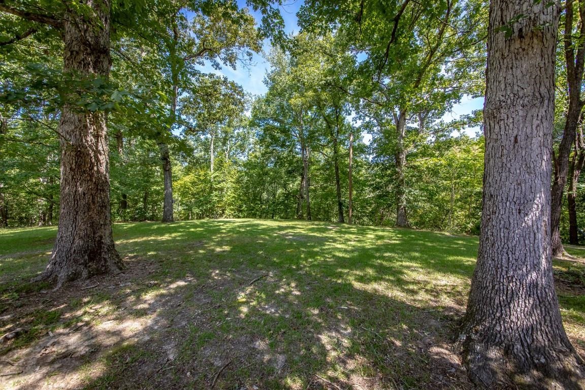 14562 Hwy 66 West Mountain View, AR 72560