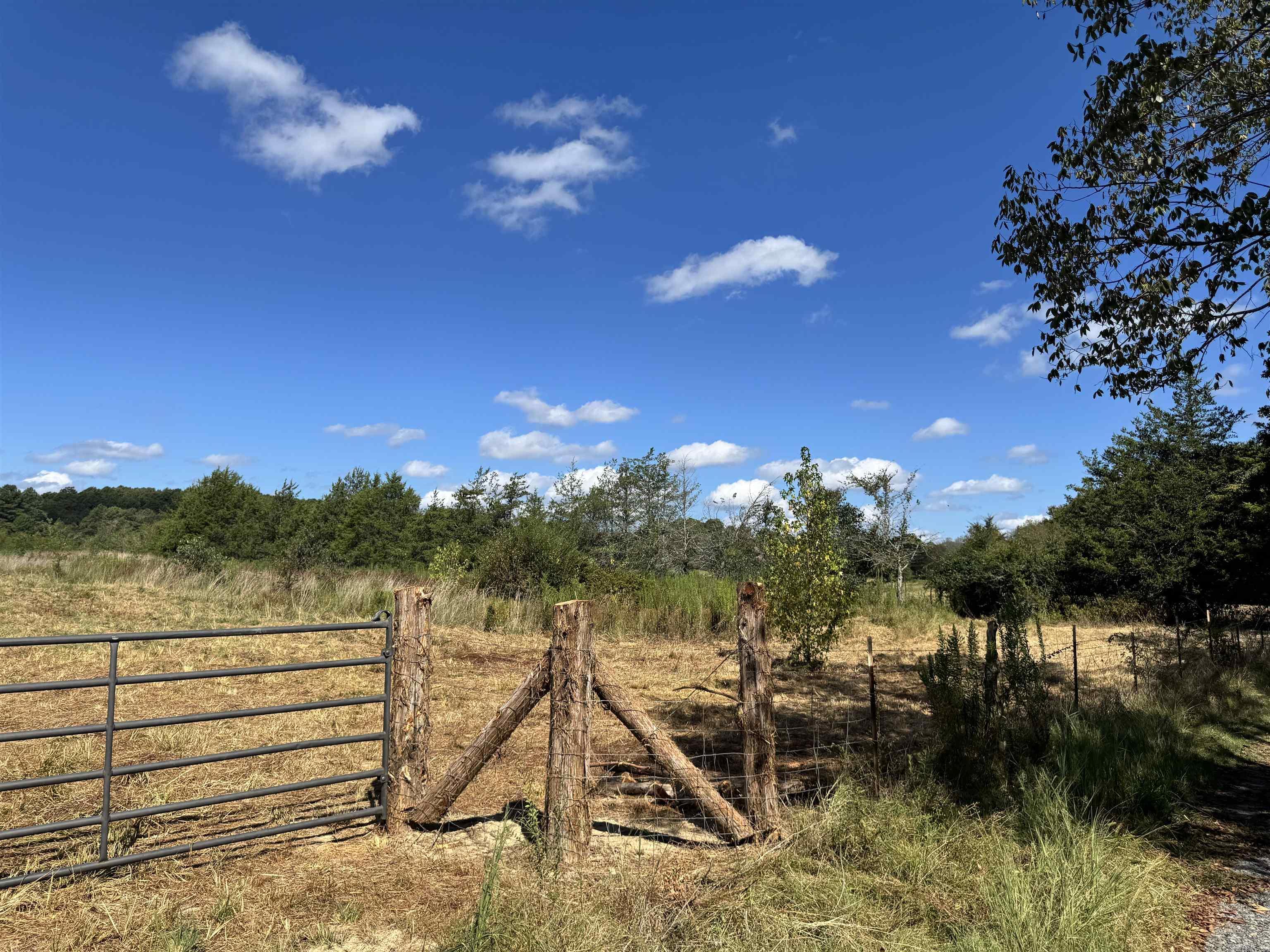 191 Polk Road 73  Mena, AR