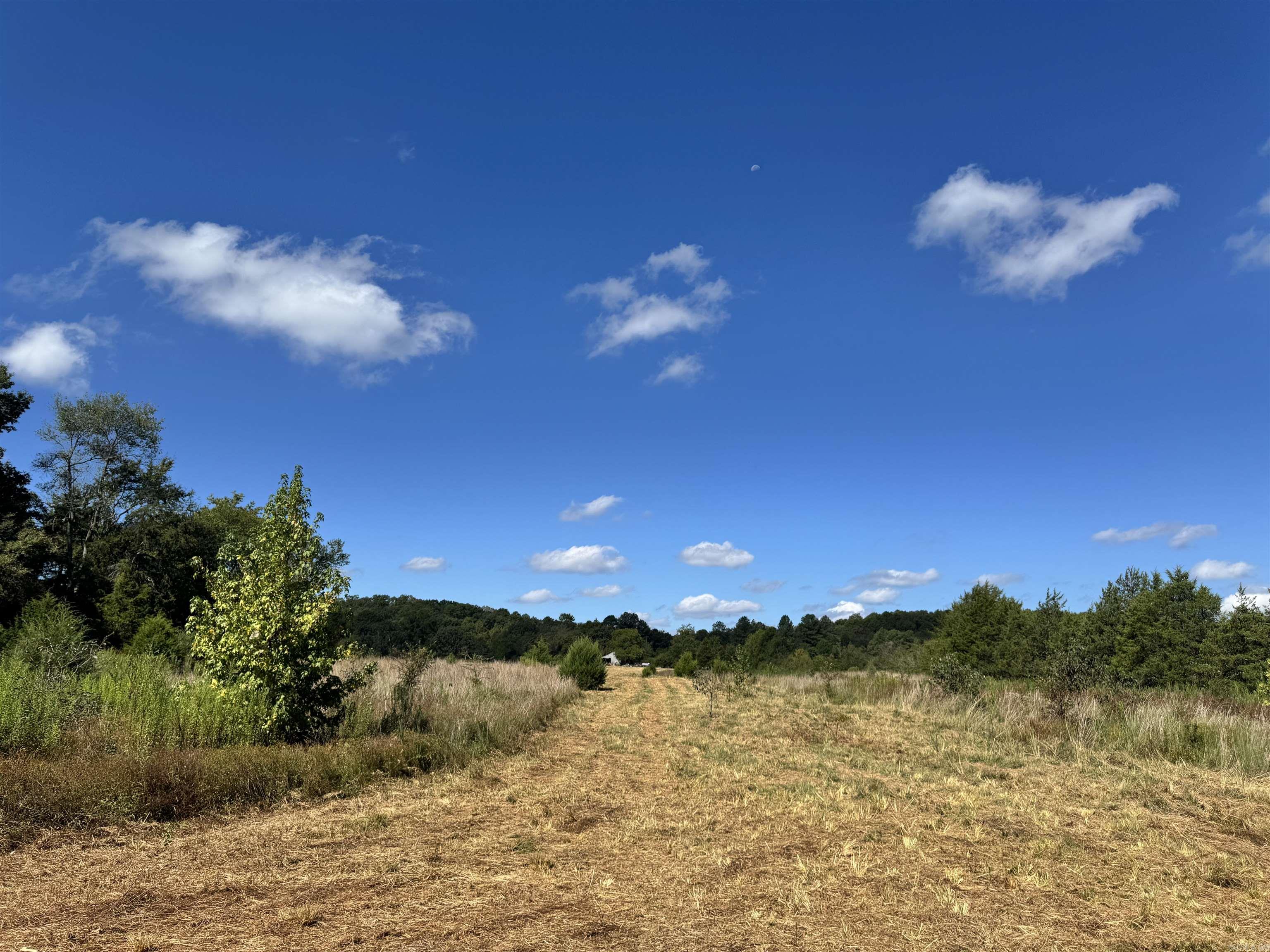 191 Polk Road 73  Mena, AR