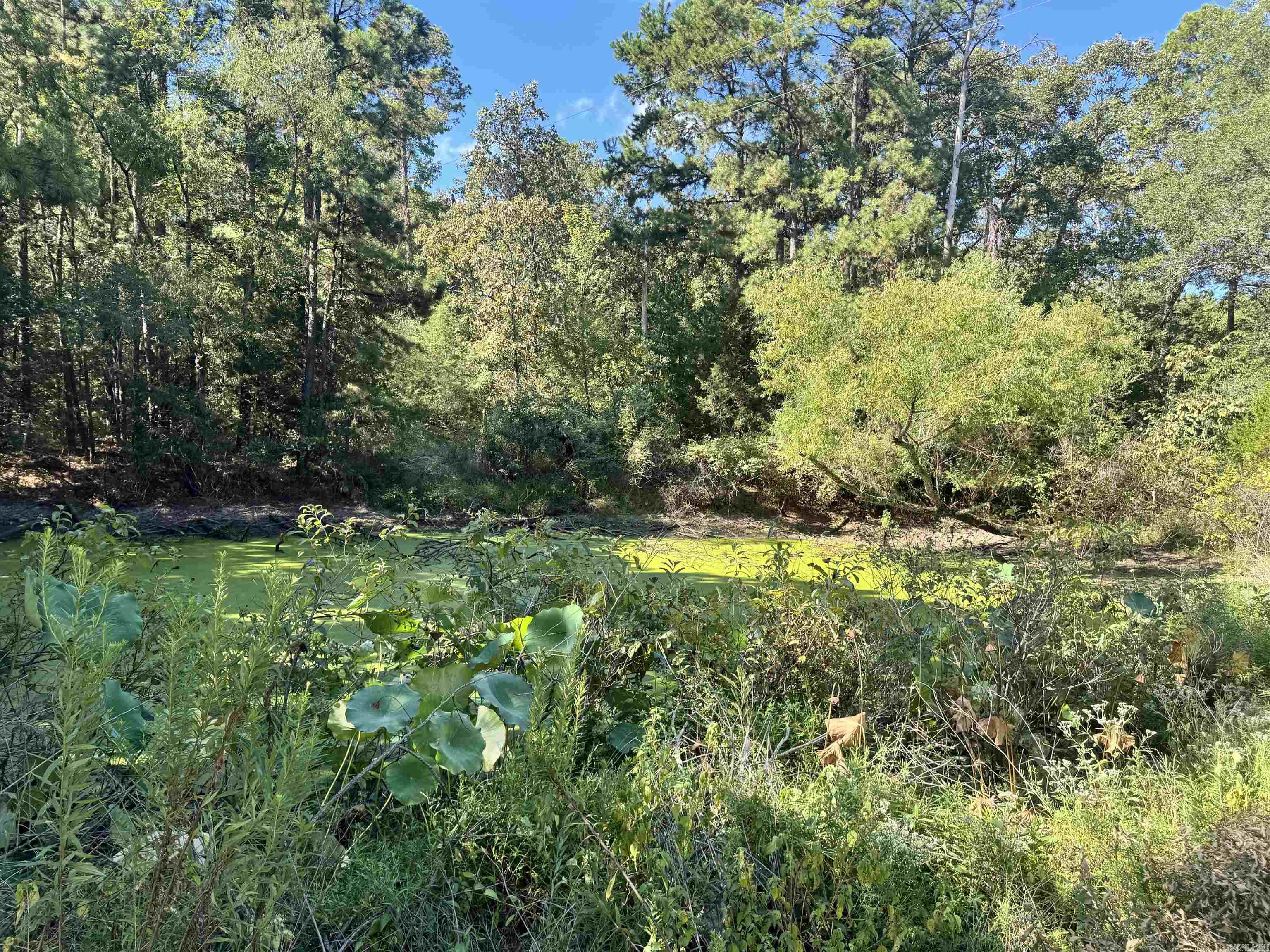 191 Polk Road 73  Mena, AR