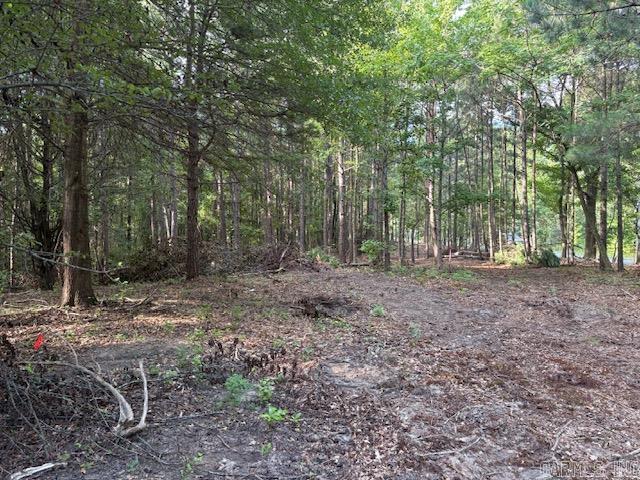 5 N Sardis Road — photo 4