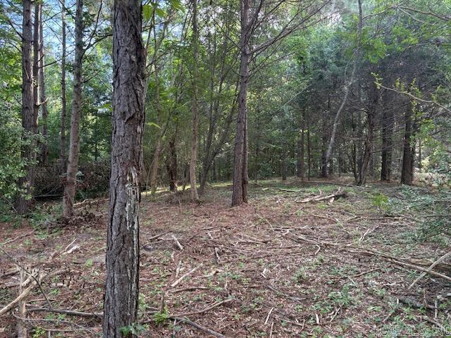 5 N Sardis Road — photo 5