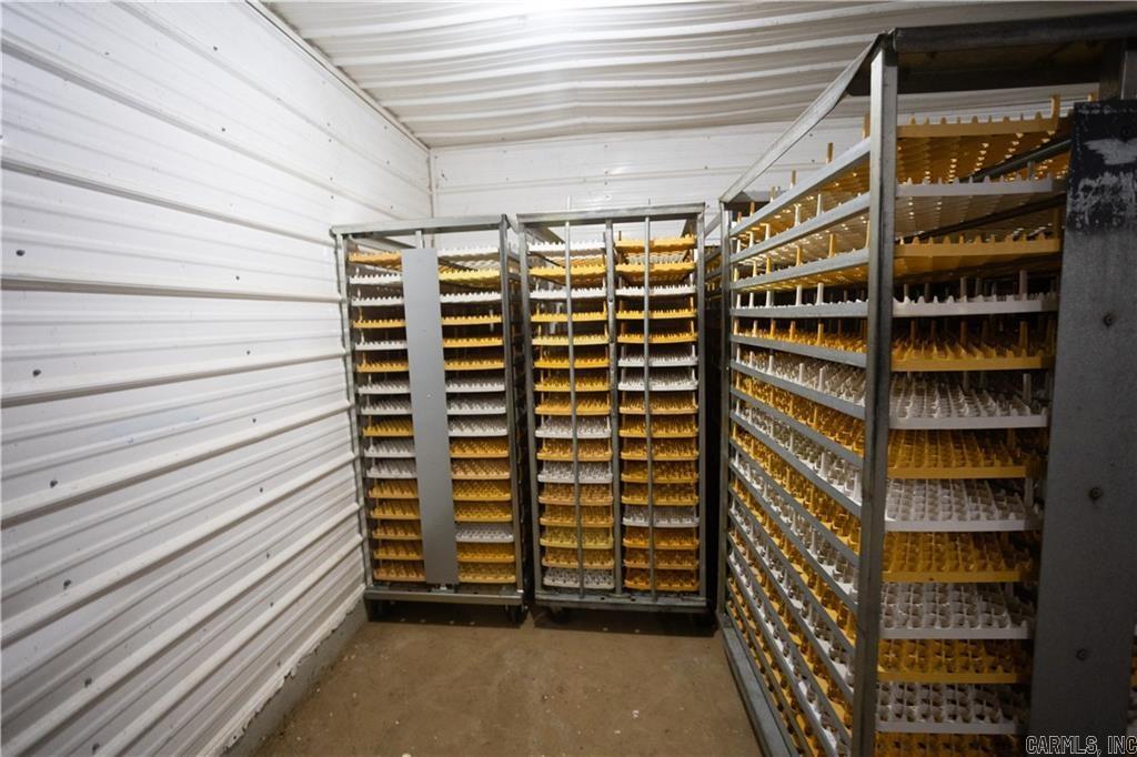 51 White Drive Cave City, AR 72521