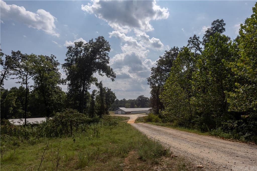 51 White Drive Cave City, AR 72521